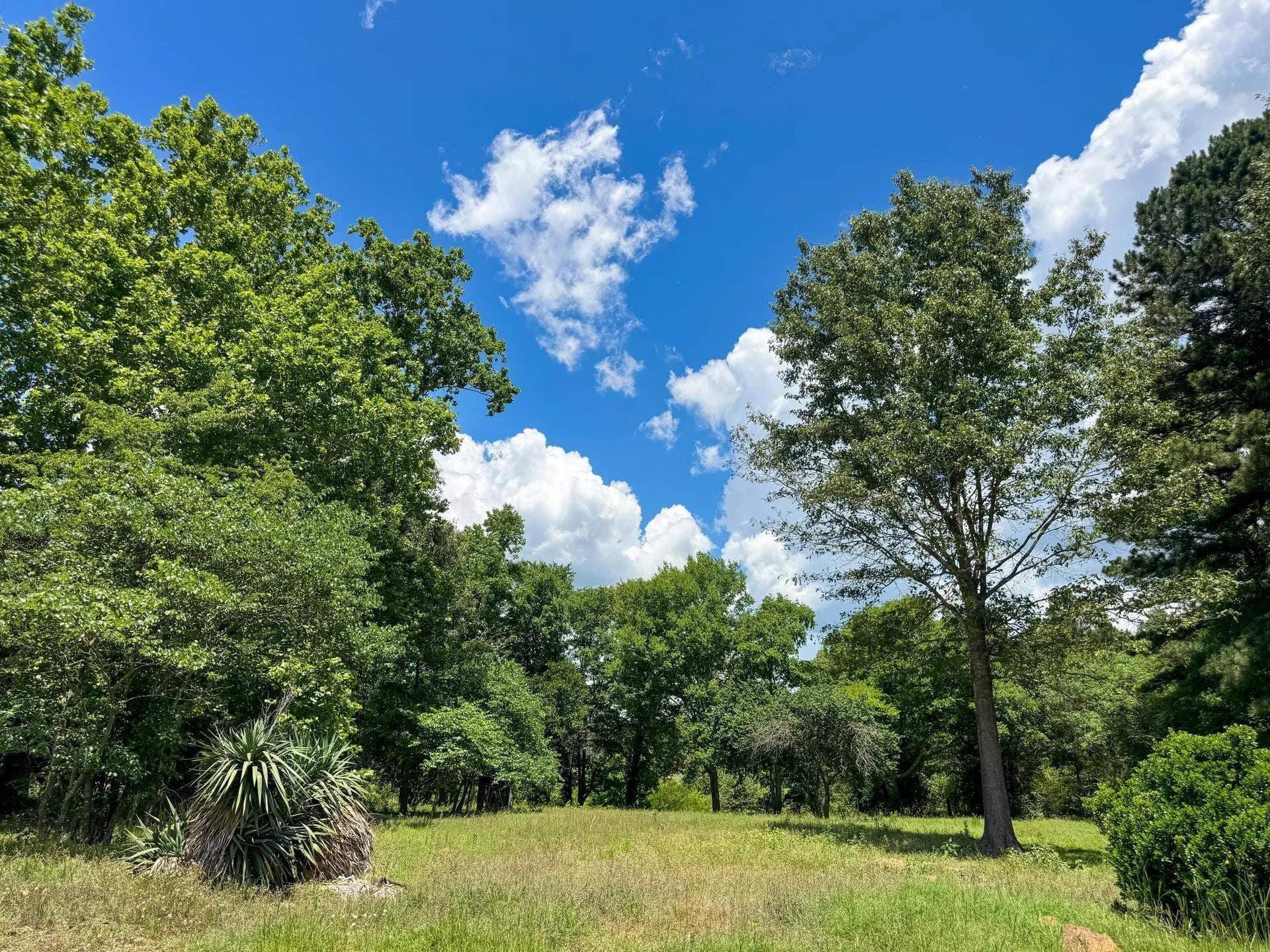 231 acres in Cass County - photo 21