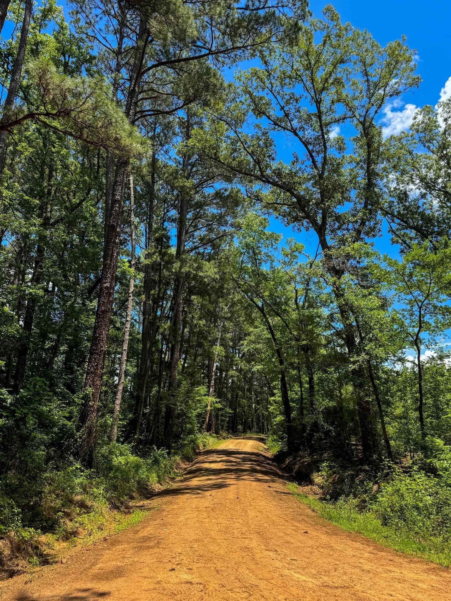 231 acres in Cass County - photo 49