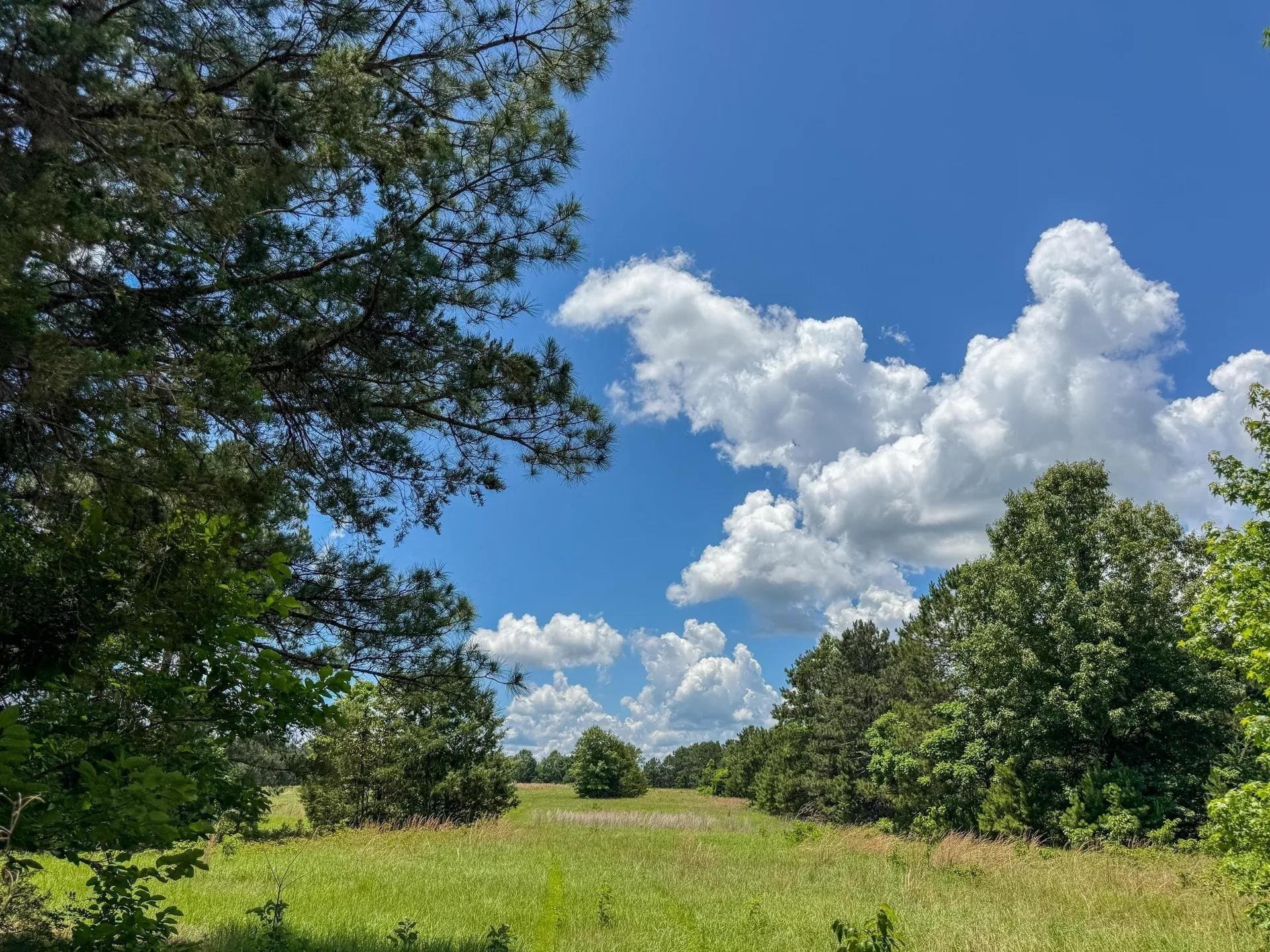231 acres in Cass County - photo 23