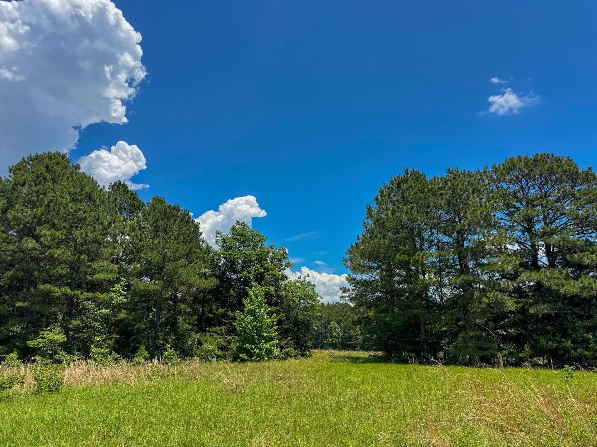 231 acres in Cass County - photo 24