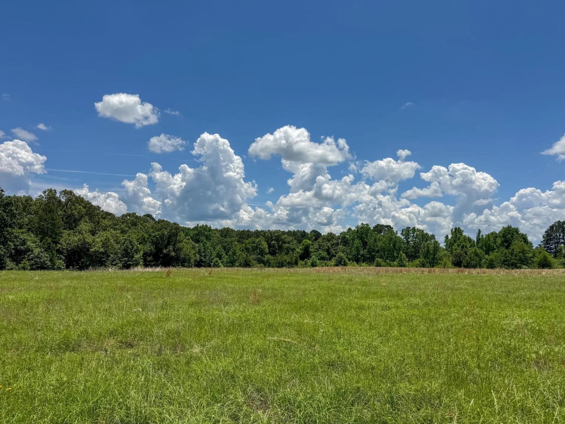 231 acres in Cass County - photo 16