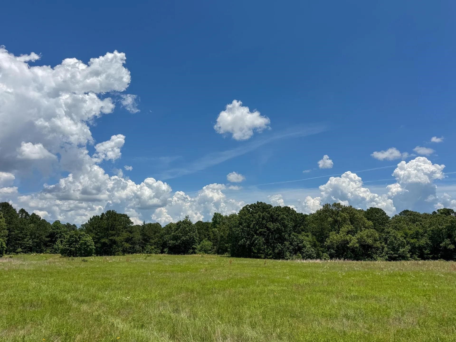 231 acres in Cass County - photo 25