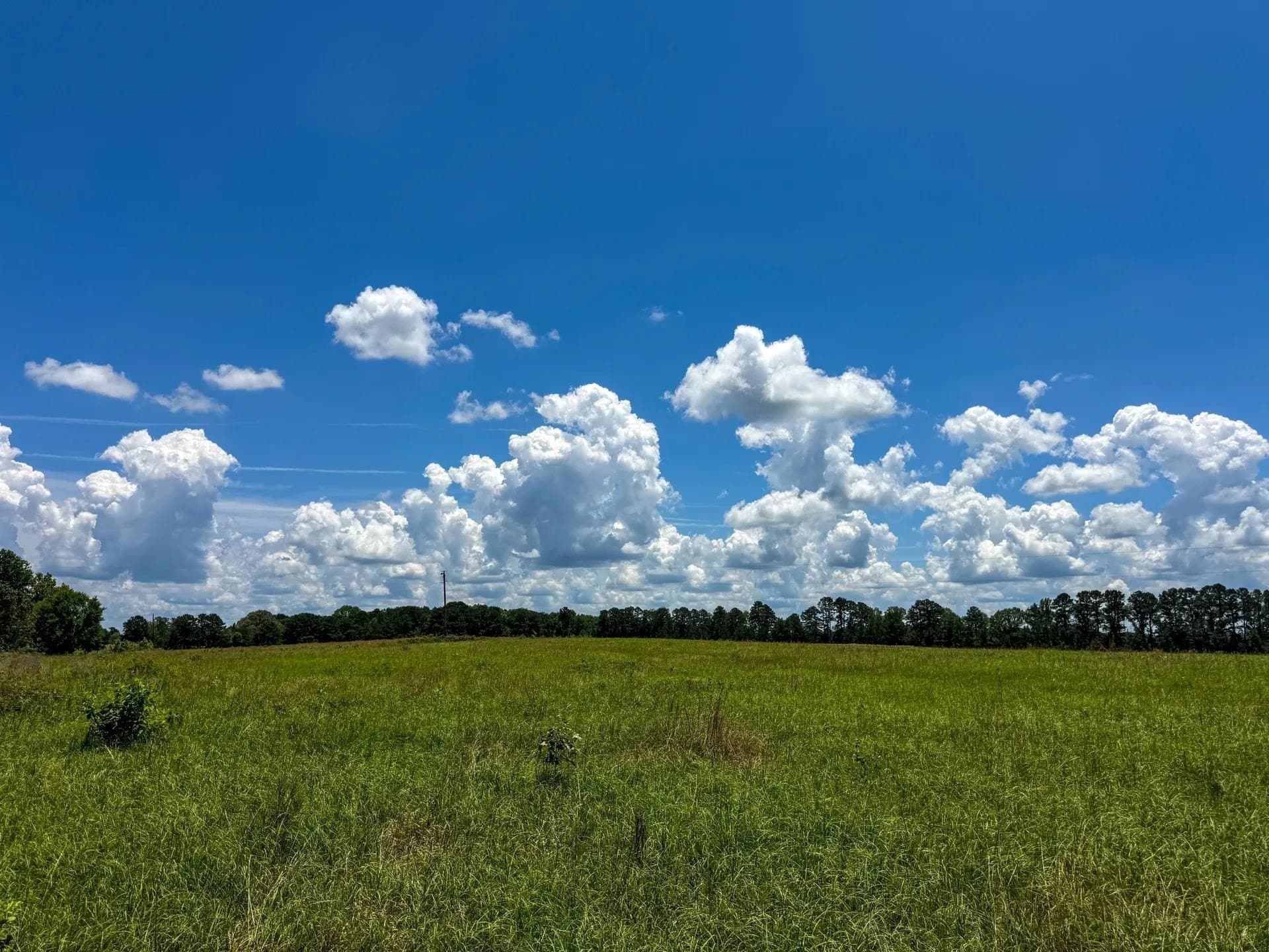 231 acres in Cass County - photo 22