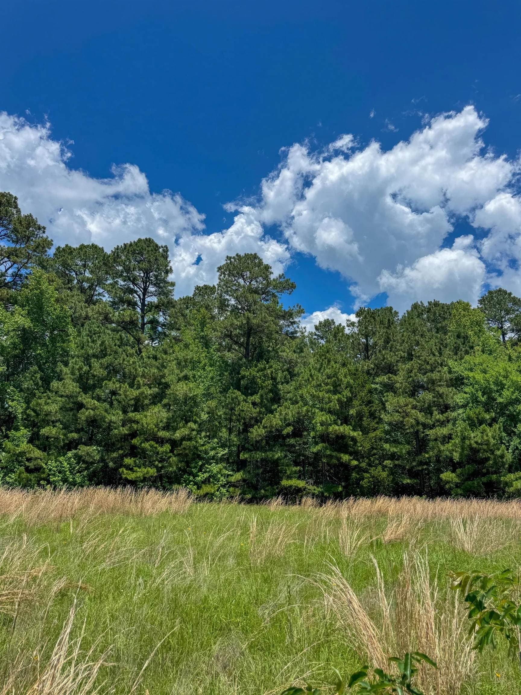 231 acres in Cass County - photo 30