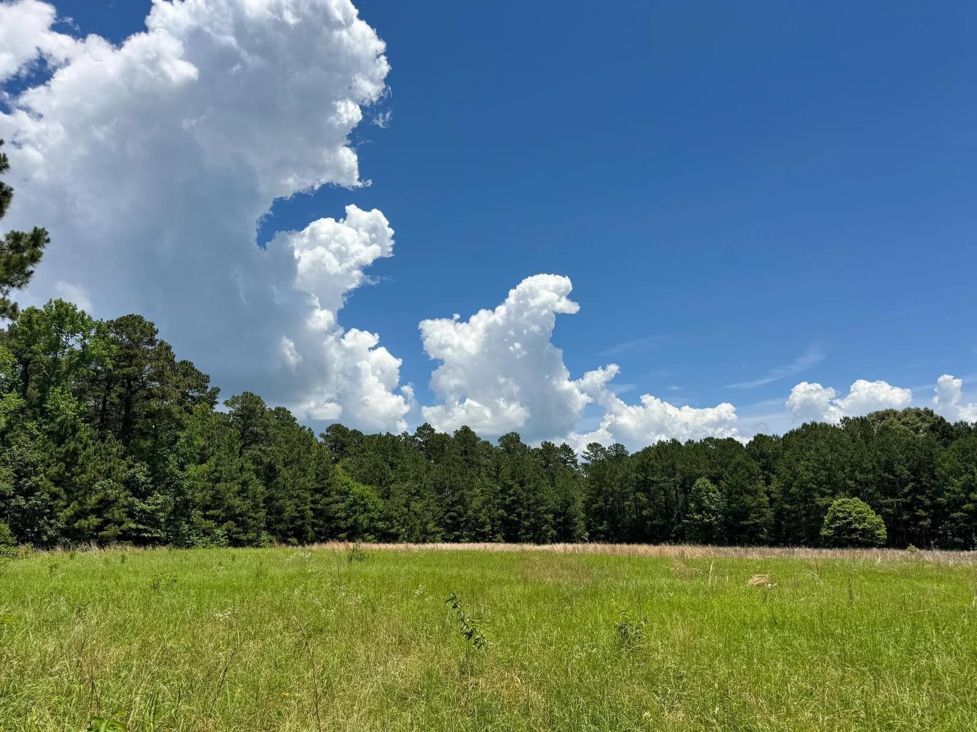 231 acres in Cass County - photo 27