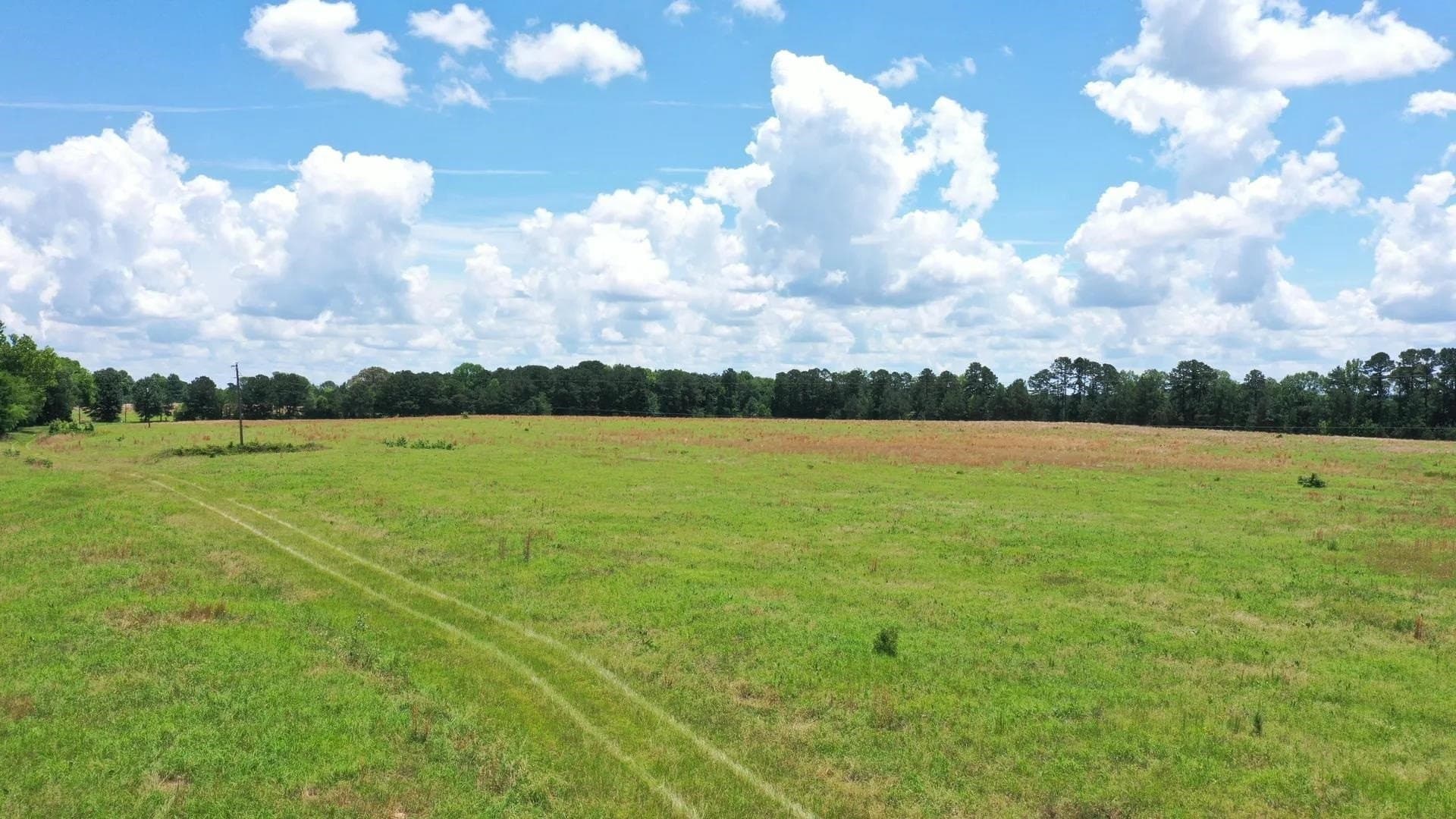 231 acres in Cass County - photo 10