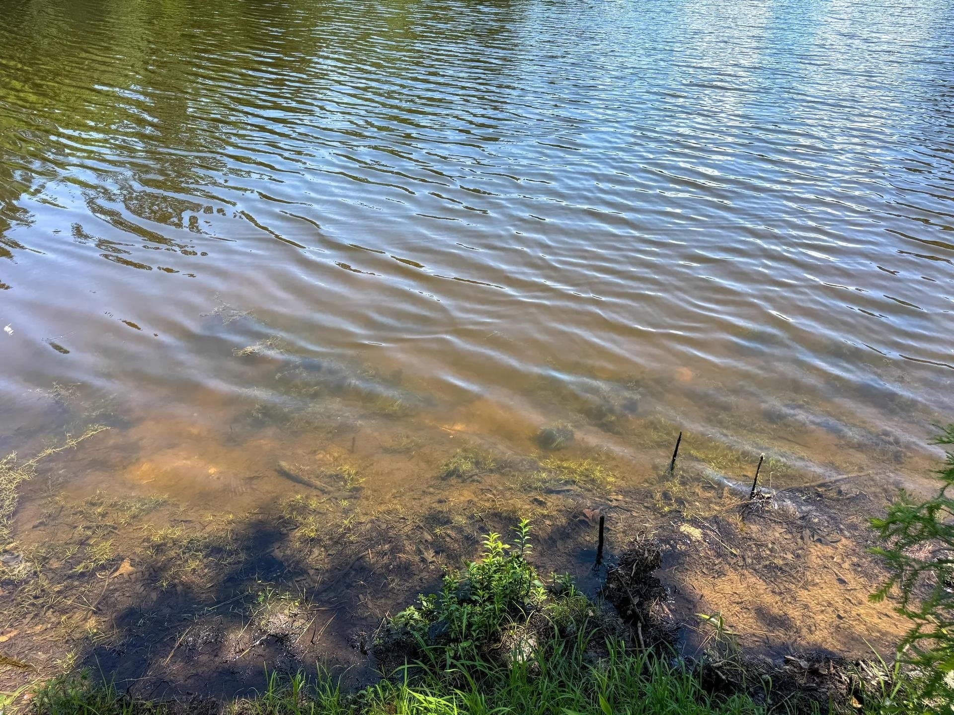 231 acres in Cass County - photo 8