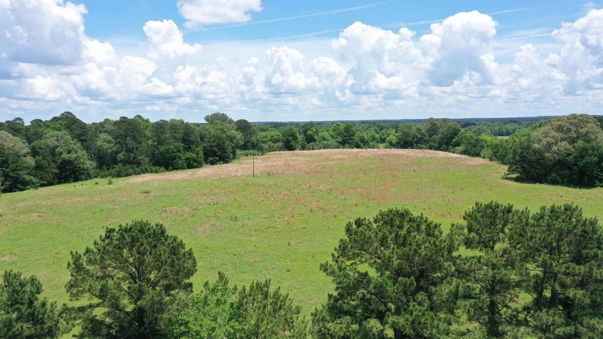 231 acres in Cass County - photo 11