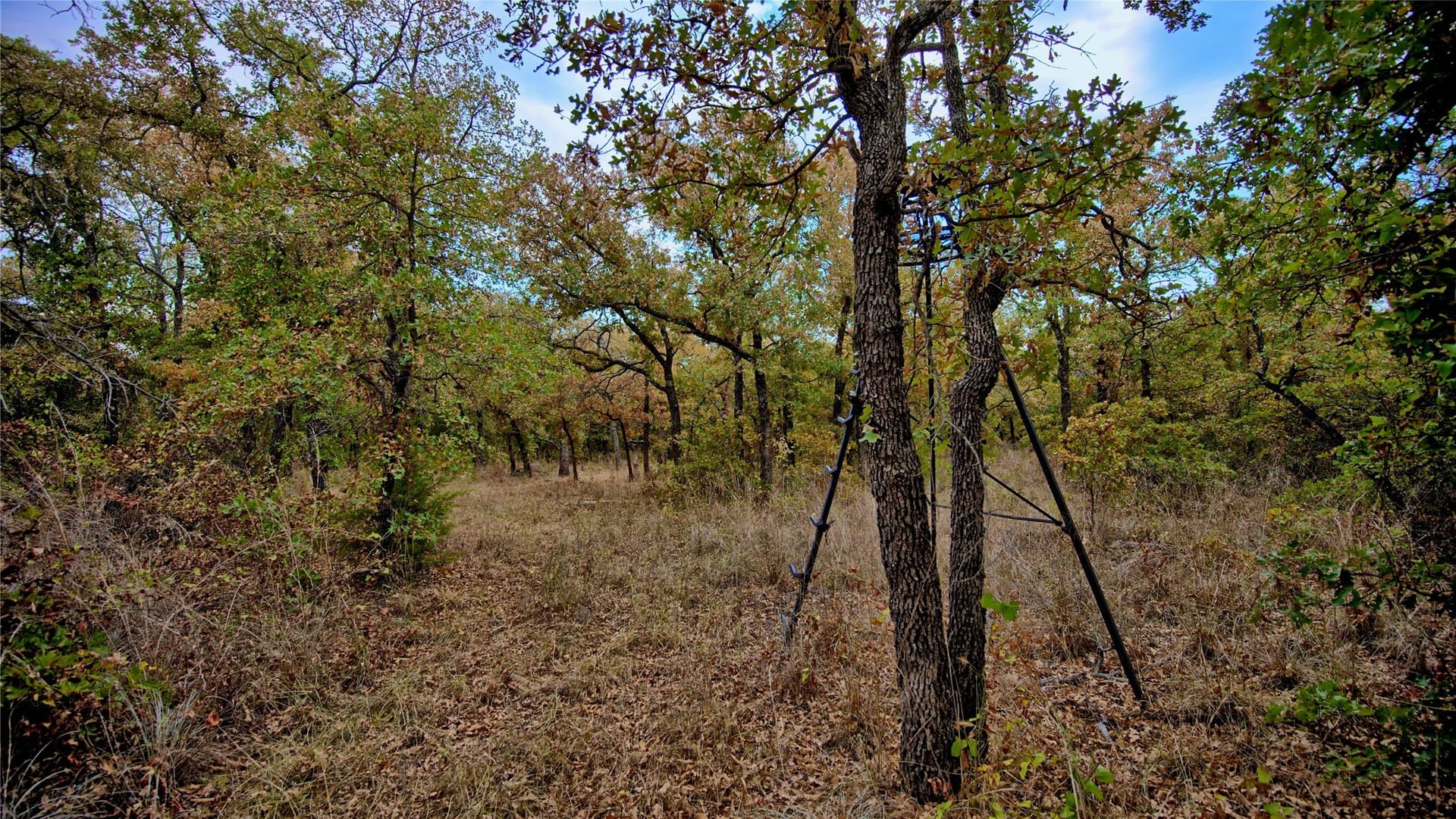 121.34 acres in Montague County - photo 9