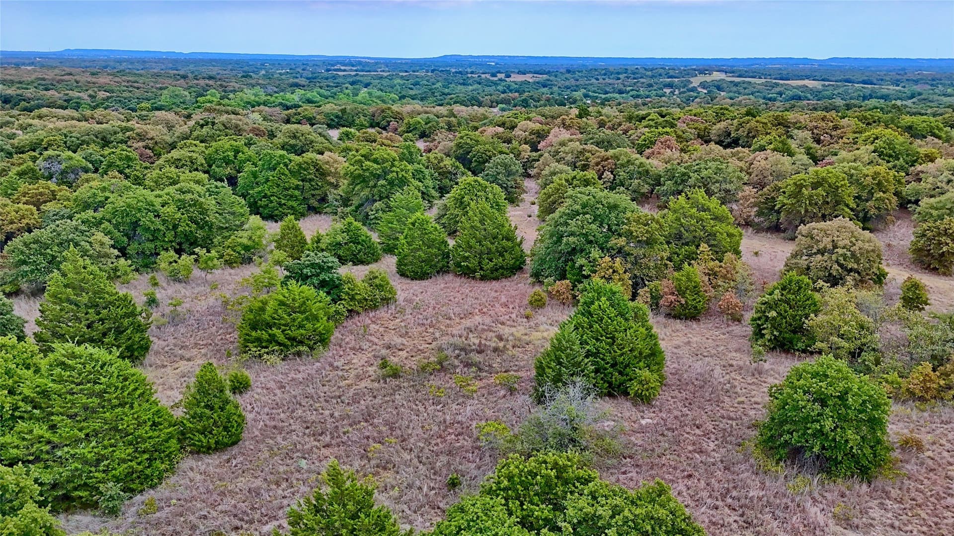 121.34 acres in Montague County - photo 37