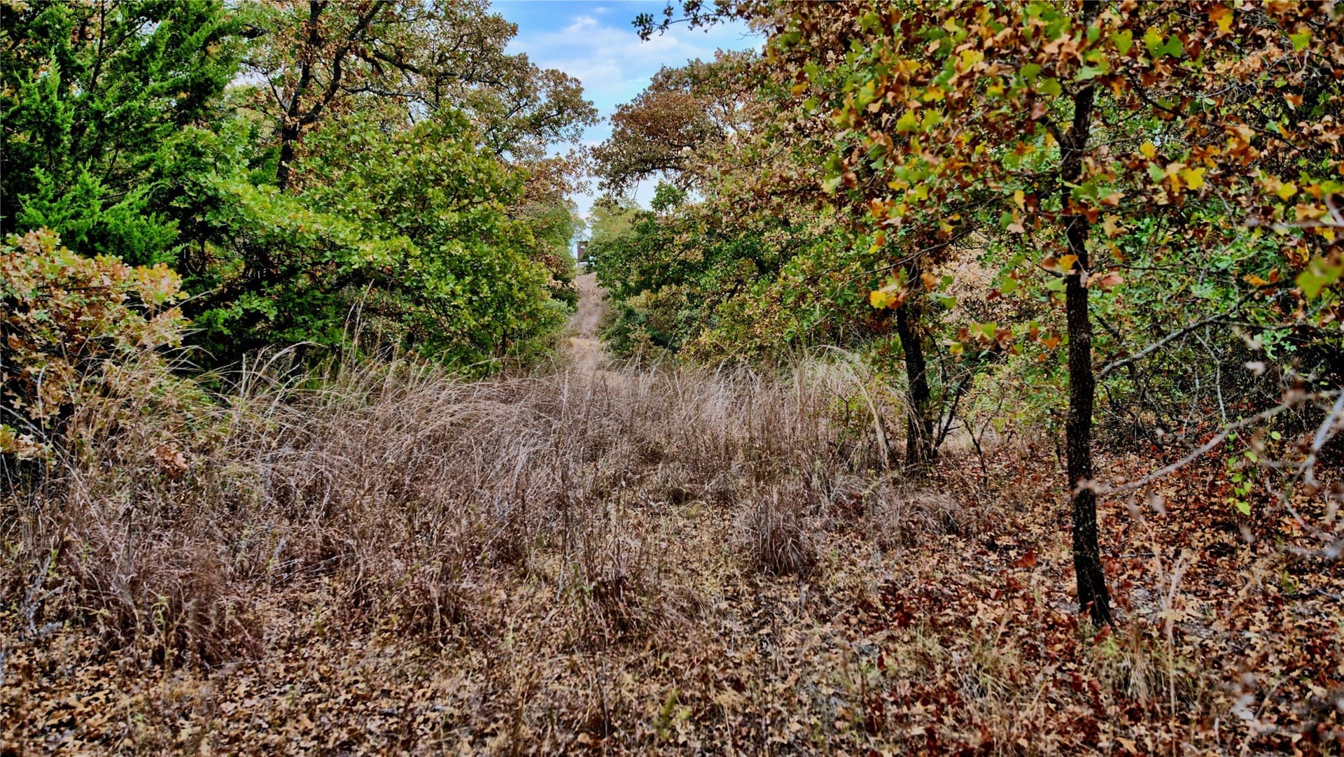 121.34 acres in Montague County - photo 20