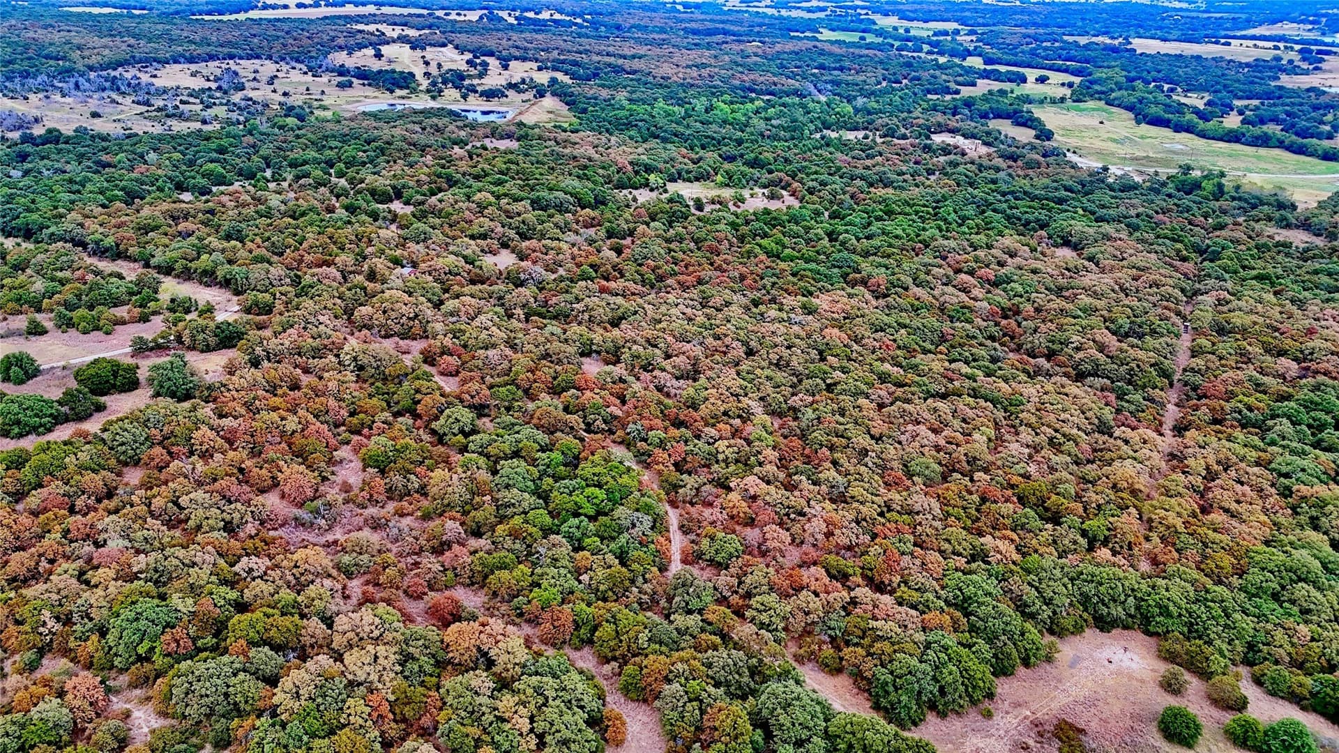 121.34 acres in Montague County - photo 18
