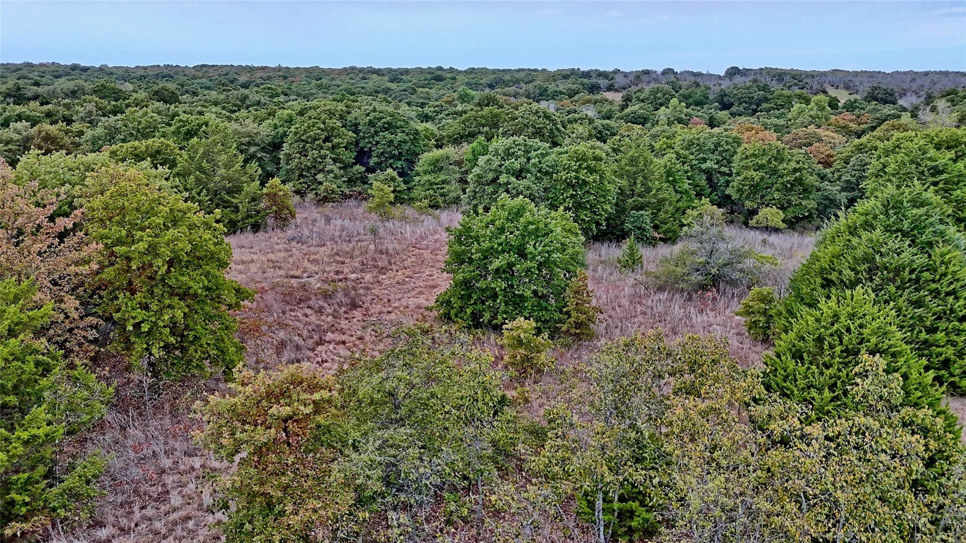 121.34 acres in Montague County - photo 36