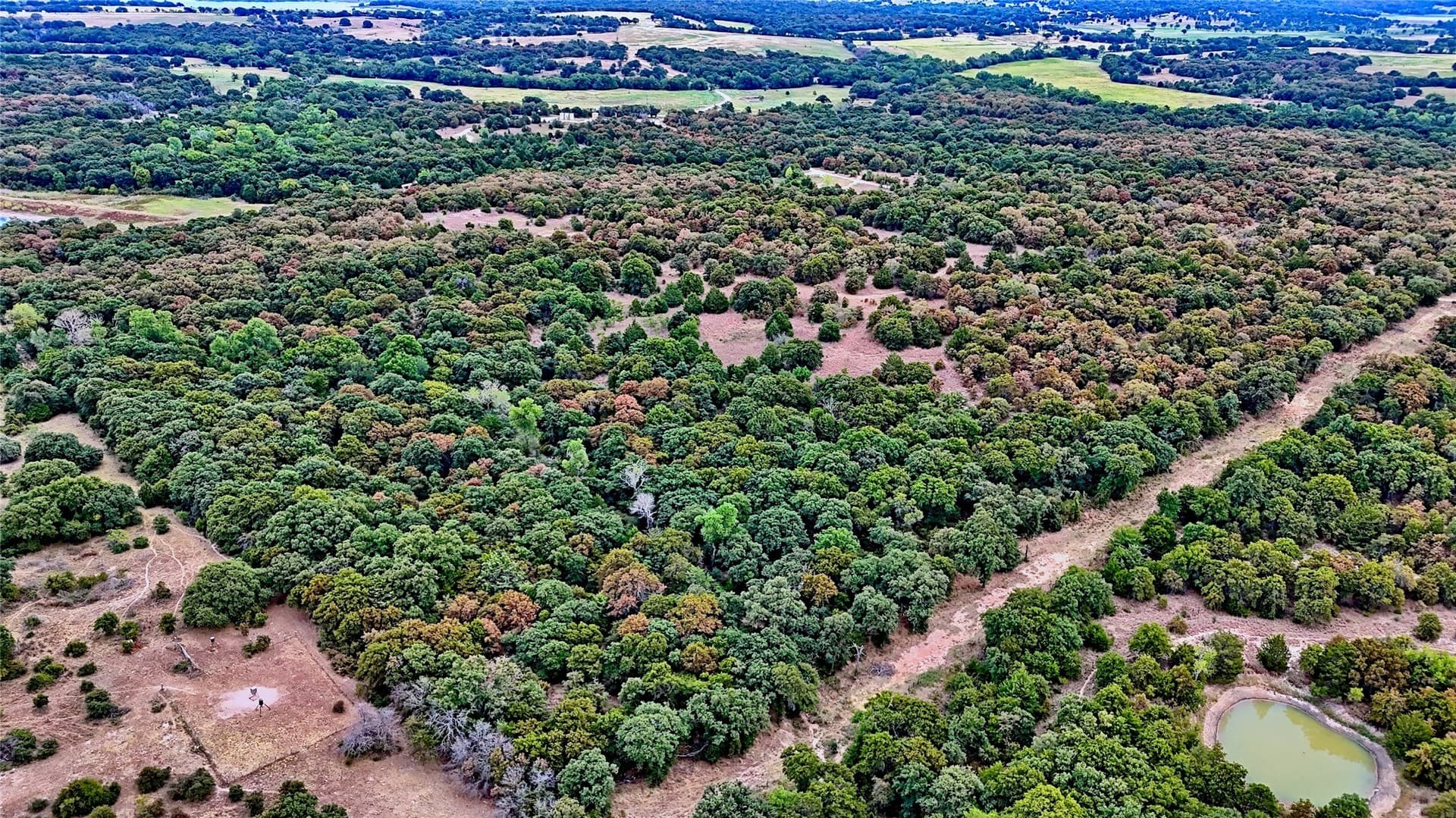 121.34 acres in Montague County - photo 17