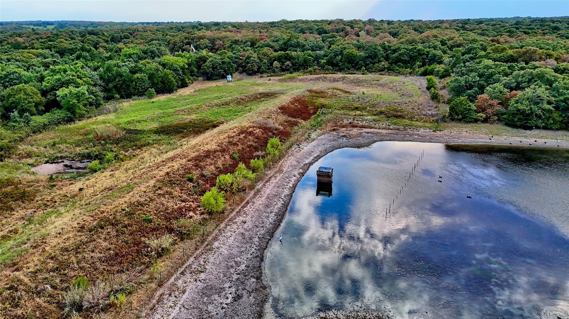121.34 acres in Montague County - photo 7