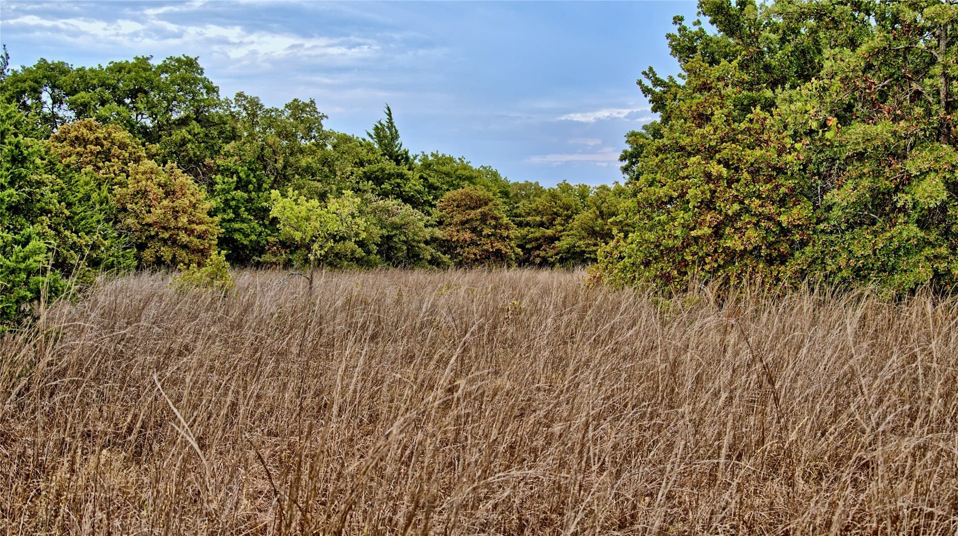 121.34 acres in Montague County - photo 5