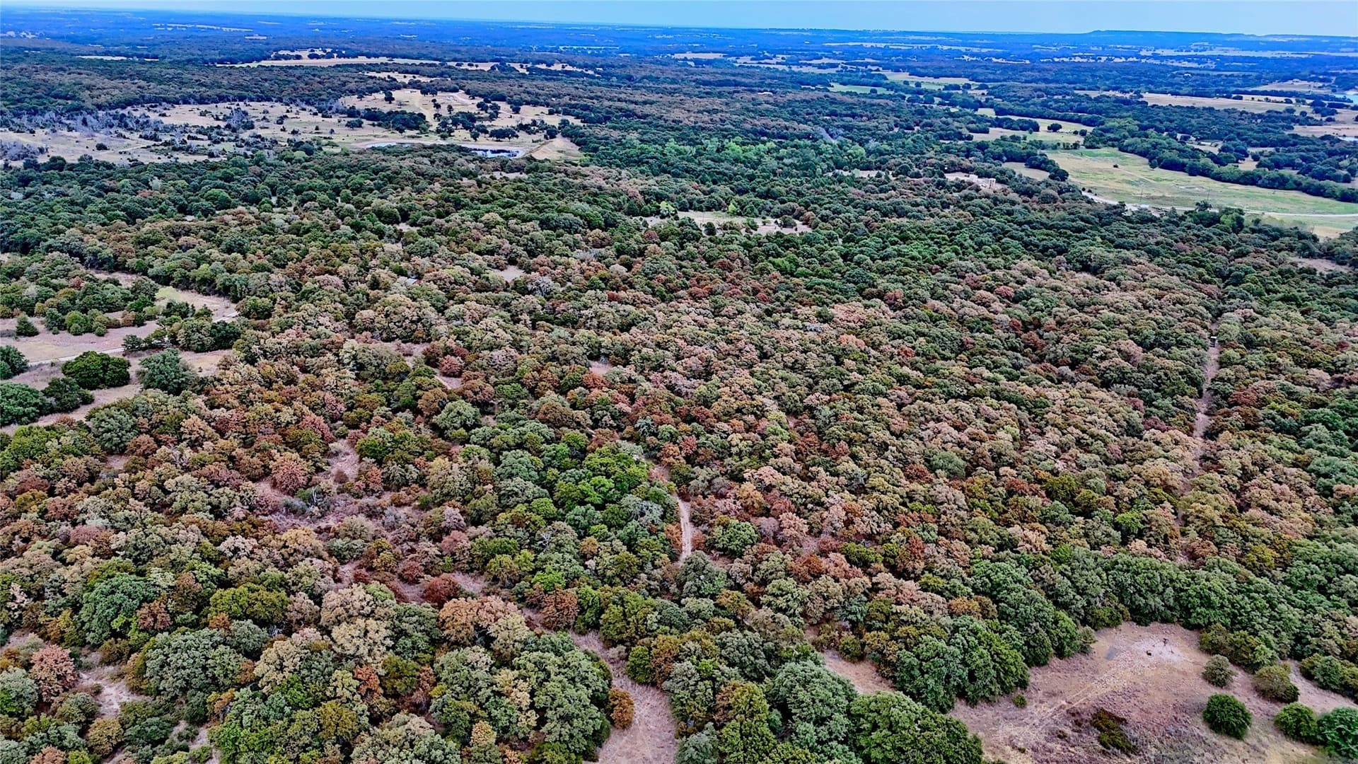 121.34 acres in Montague County - photo 33