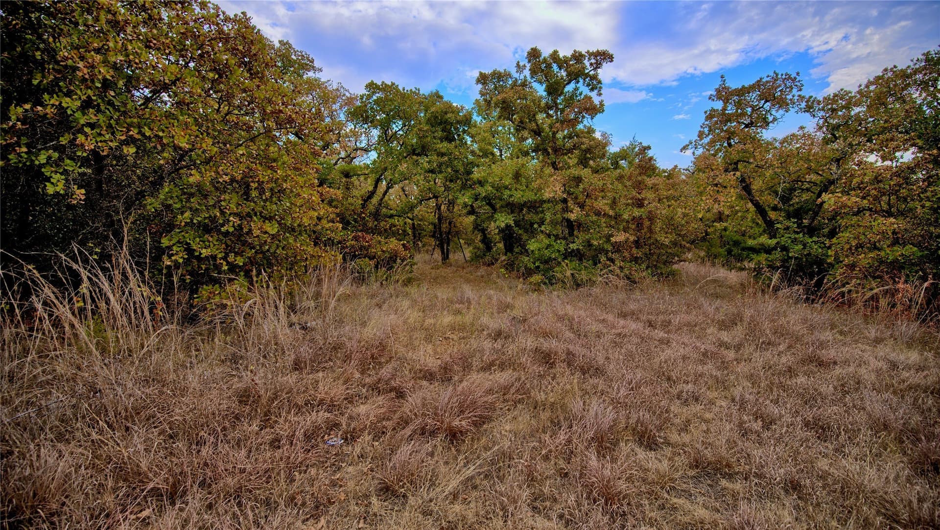 121.34 acres in Montague County - photo 10