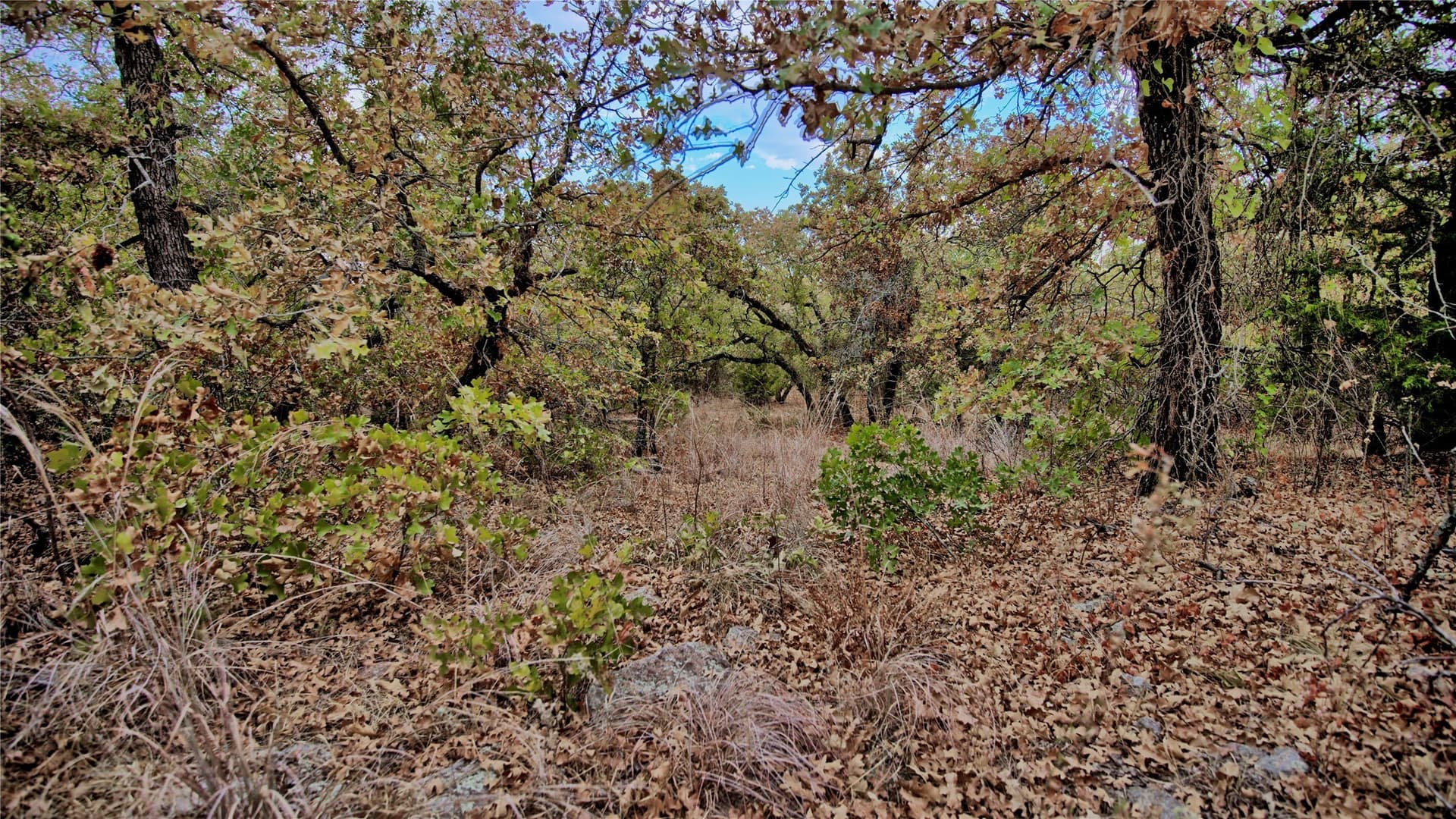 121.34 acres in Montague County - photo 21
