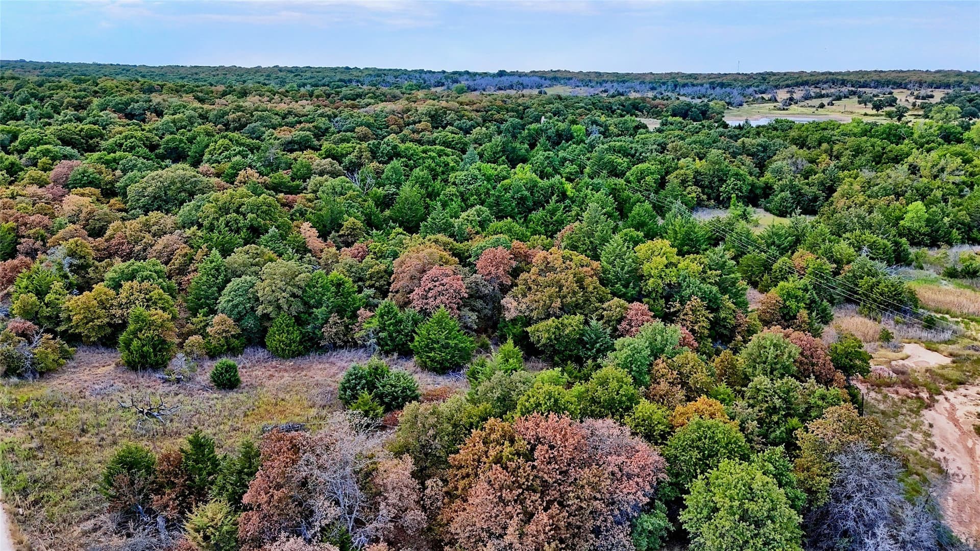 121.34 acres in Montague County - photo 27