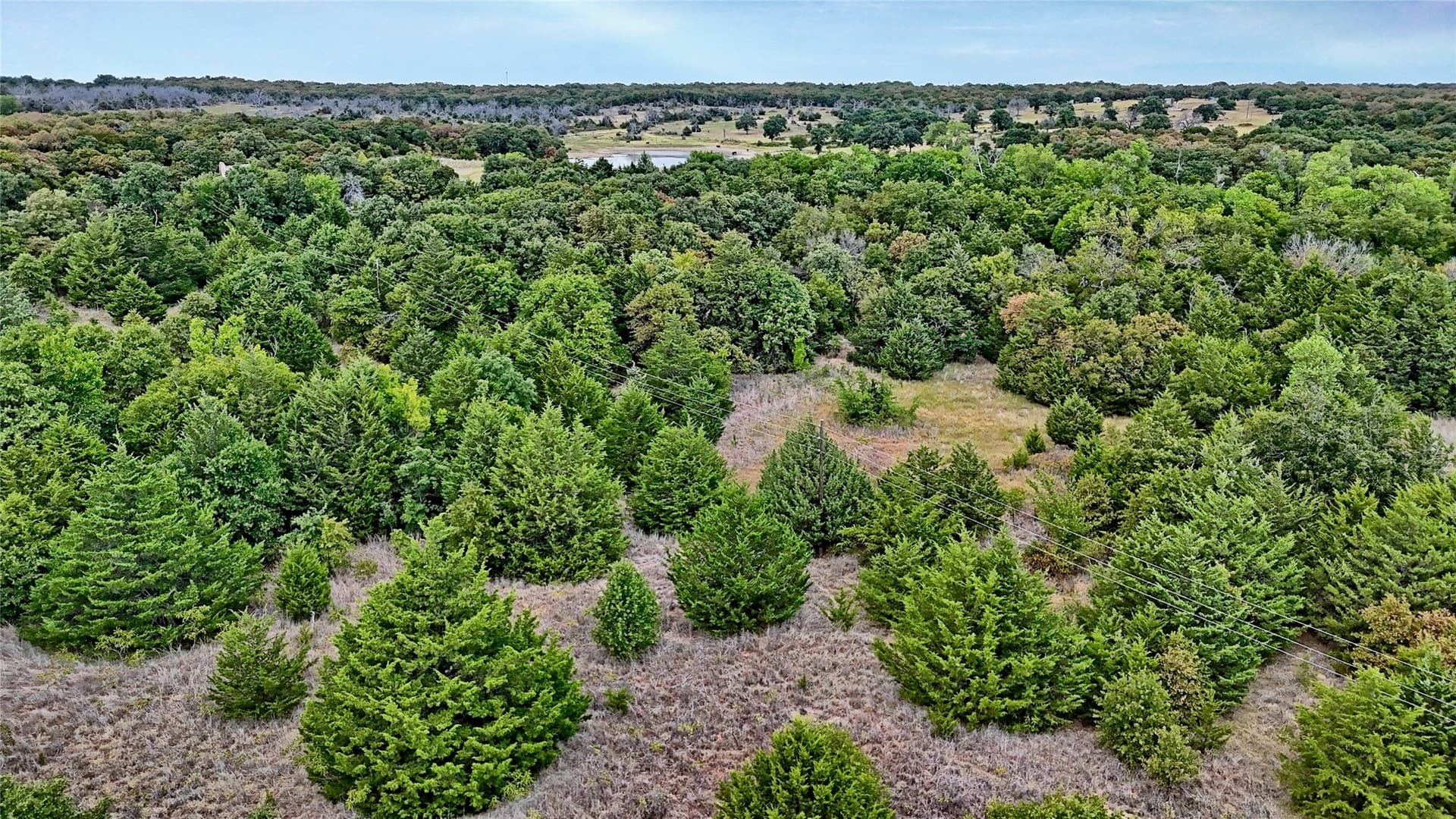 121.34 acres in Montague County - photo 30