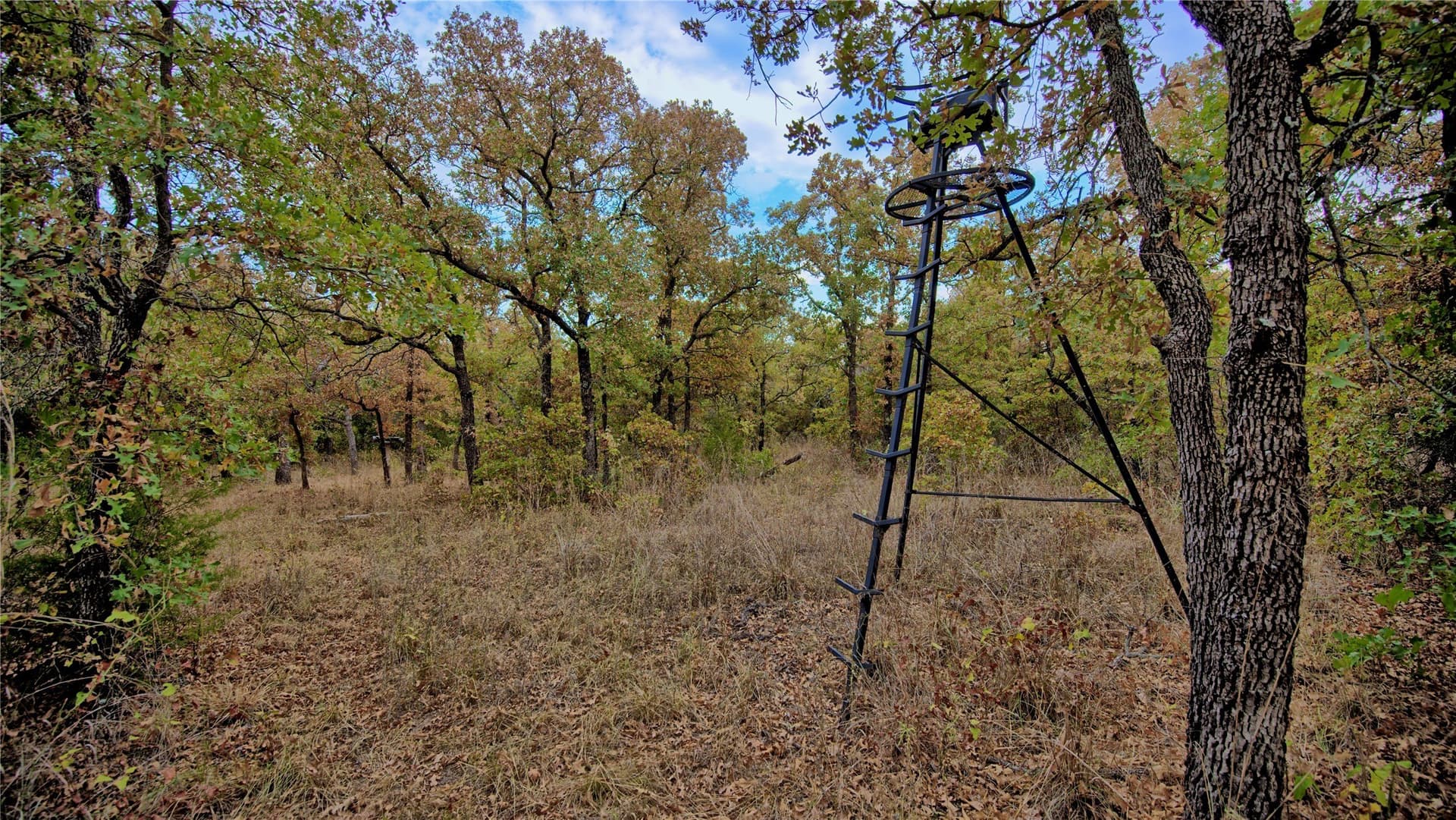 121.34 acres in Montague County - photo 19