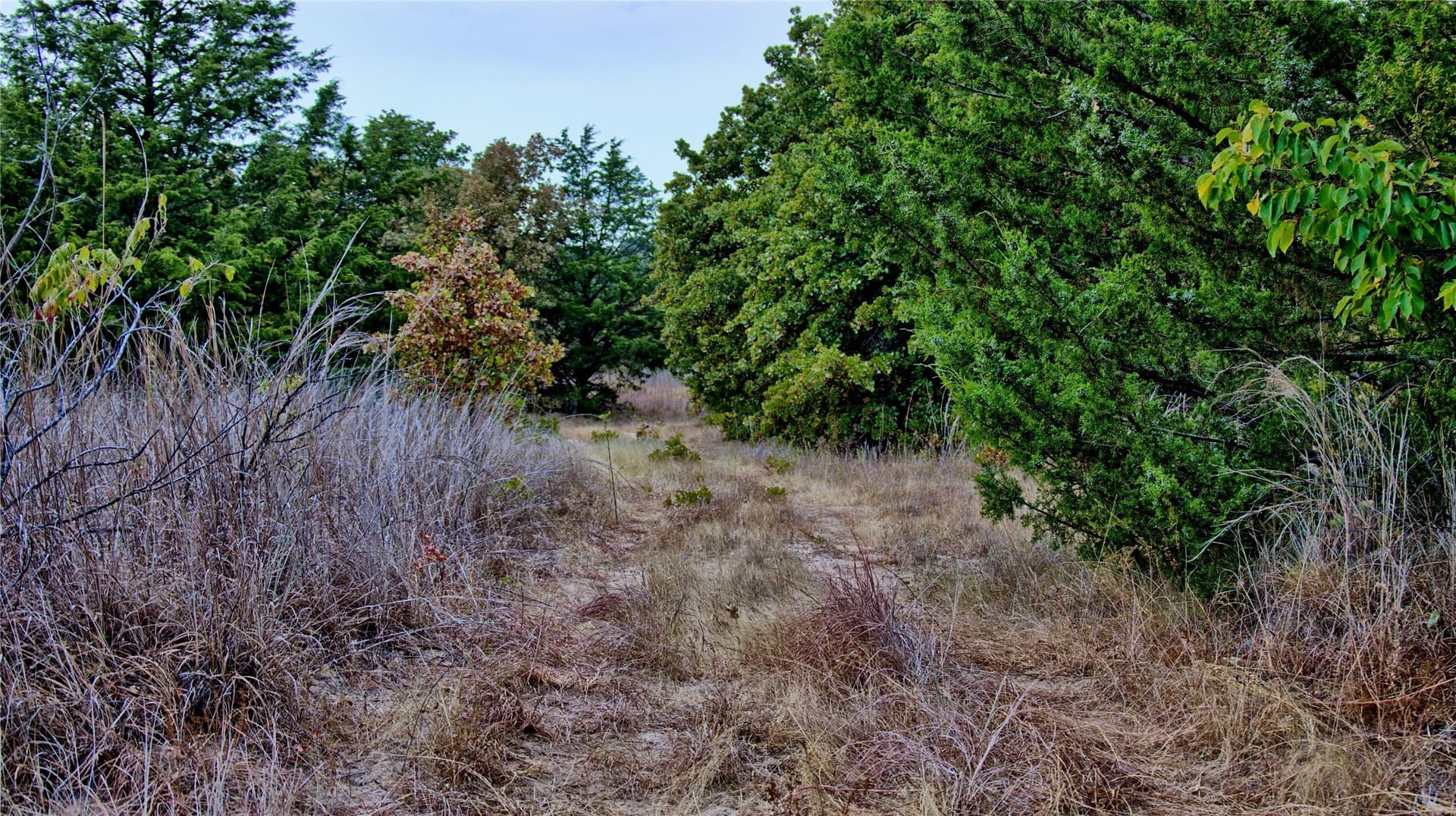 121.34 acres in Montague County - photo 8