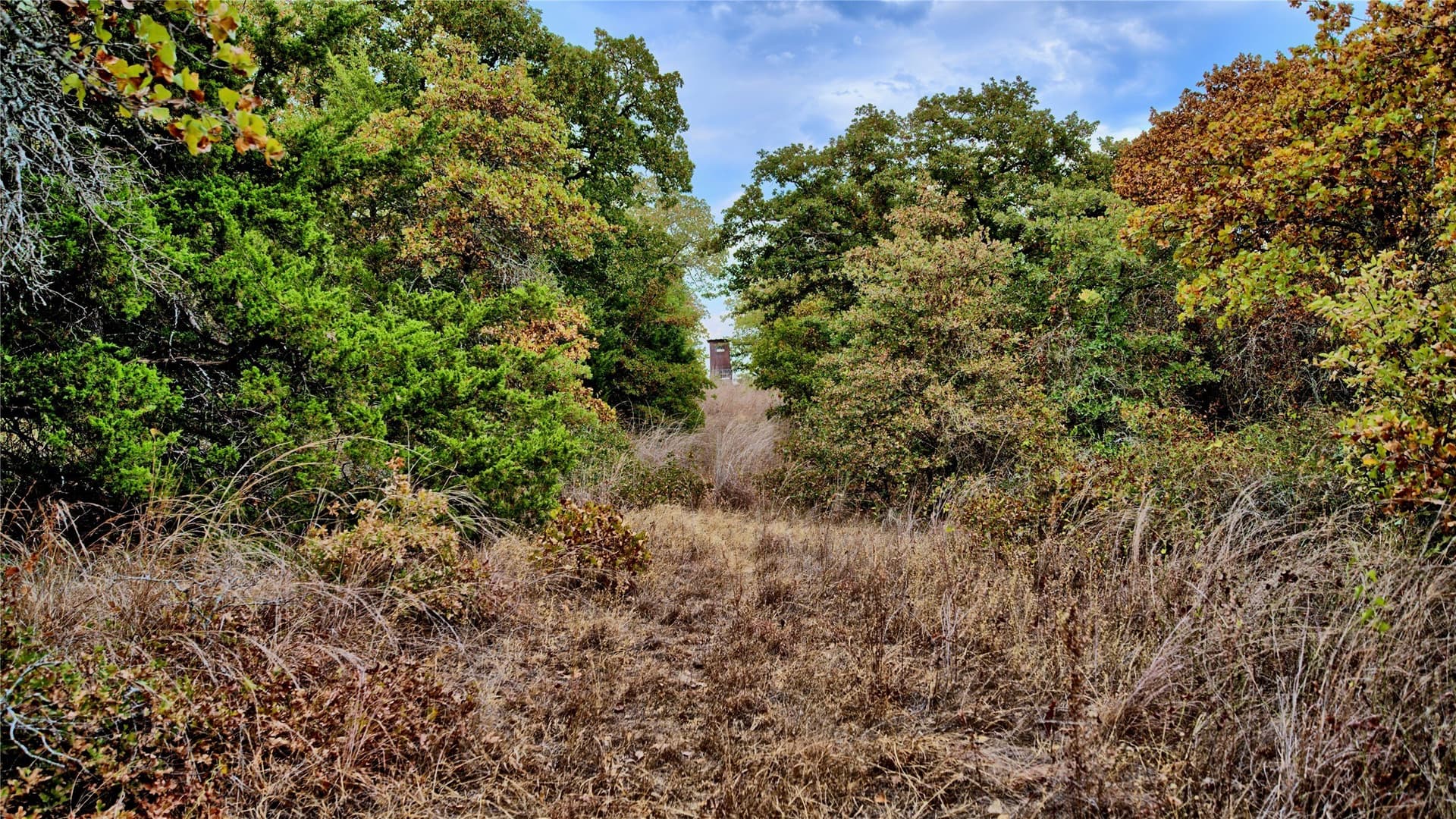 121.34 acres in Montague County - photo 35