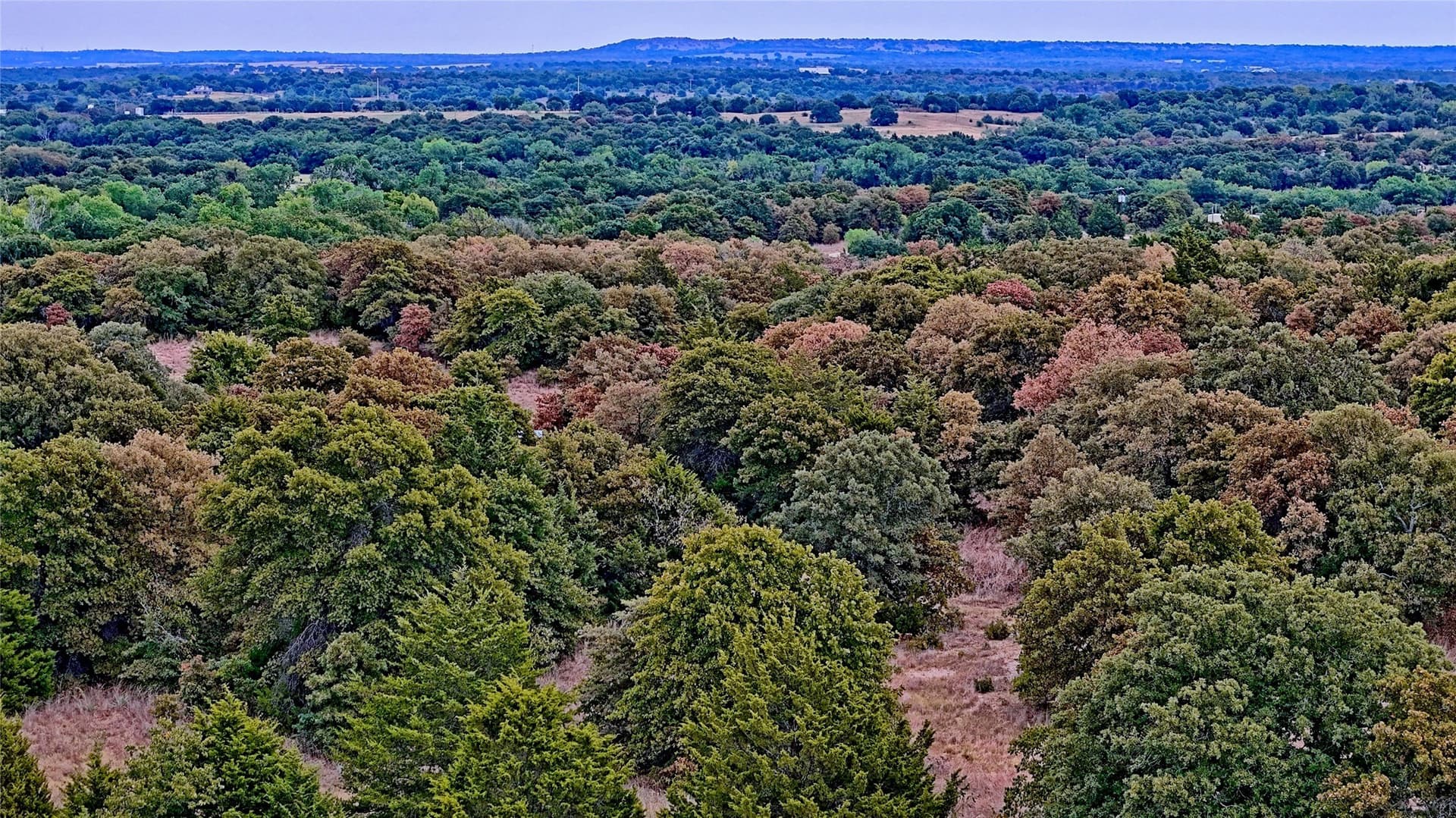 121.34 acres in Montague County - photo 26