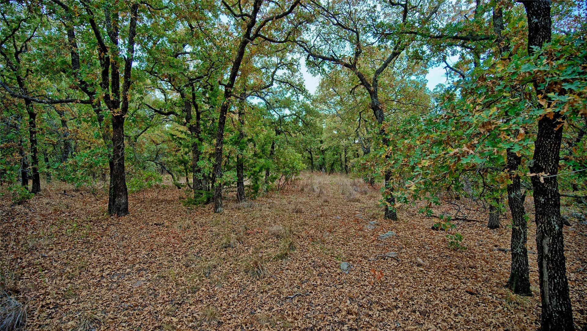 121.34 acres in Montague County - photo 4
