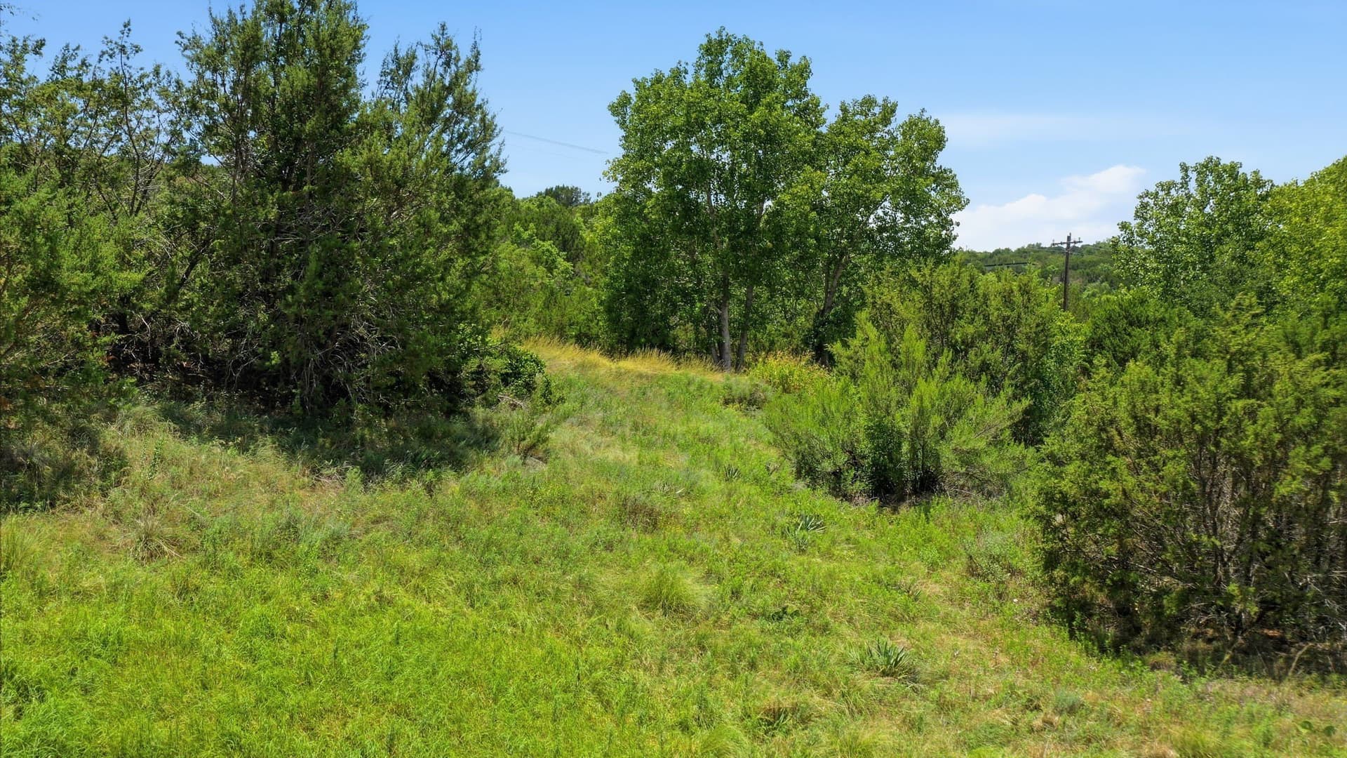 6.02 acres in Erath County gallery image 4