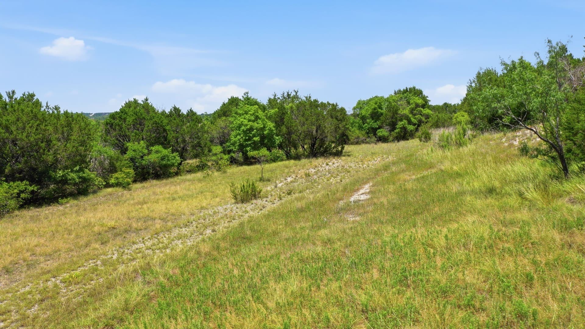 6.02 acres in Erath County gallery image 3