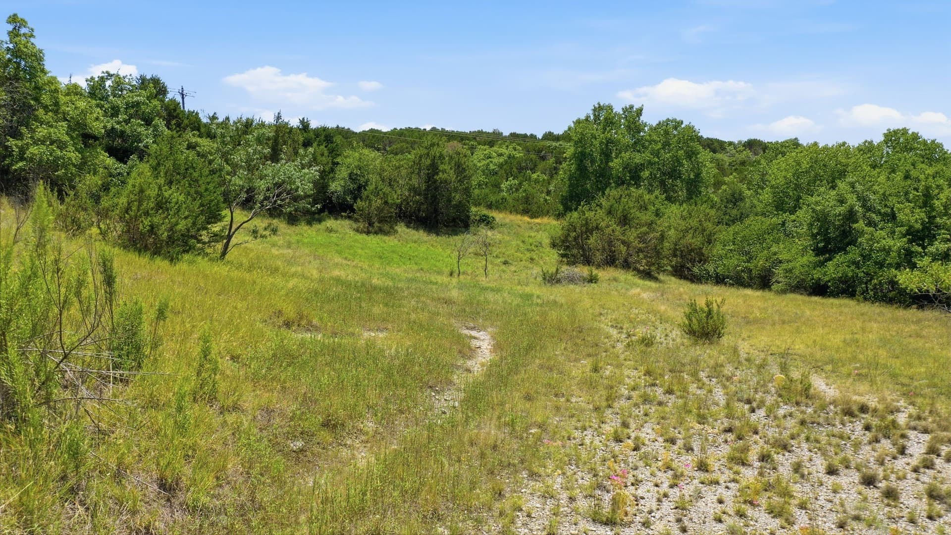 6.02 acres in Erath County - photo 6