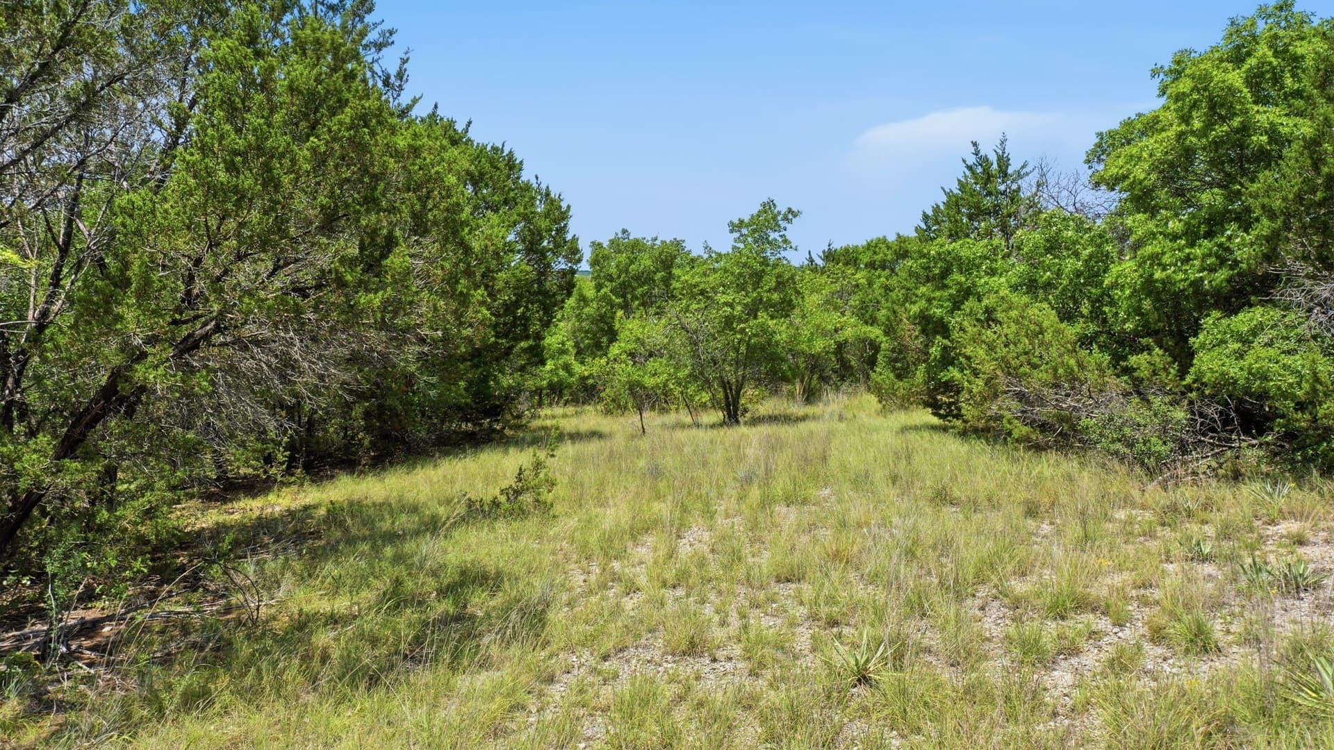 6.02 acres in Erath County featured view