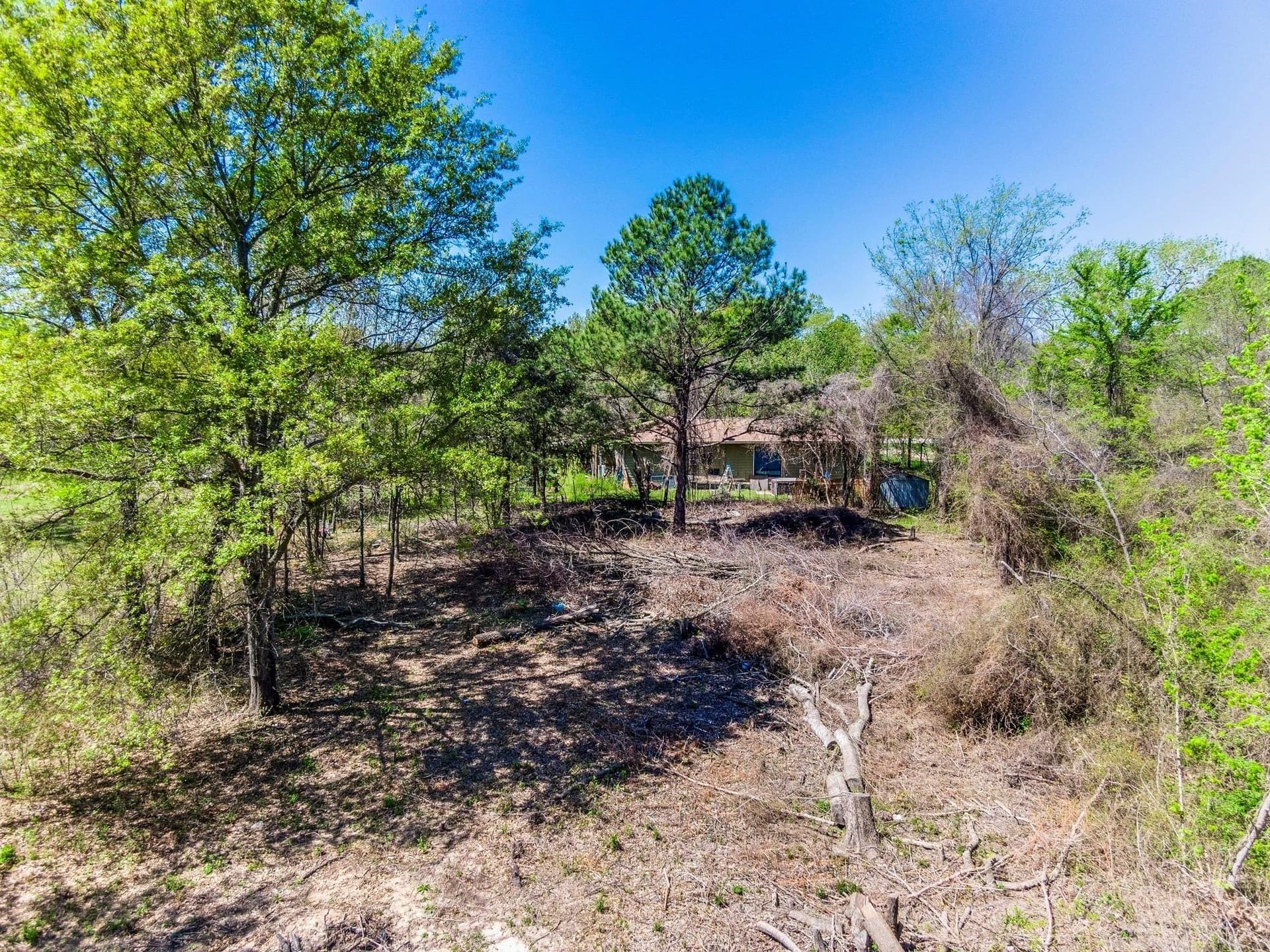 0.19 acres in Henderson County gallery image 3