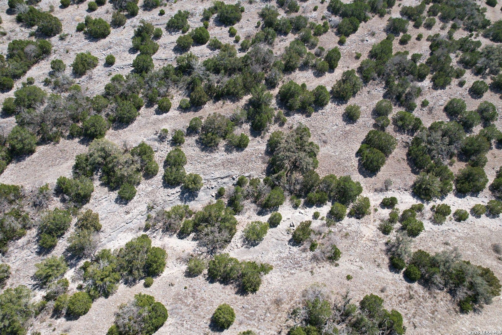 23.3 acres in Edwards County - photo 7