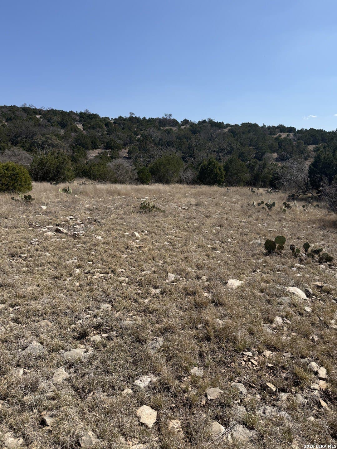 23.3 acres in Edwards County - photo 23