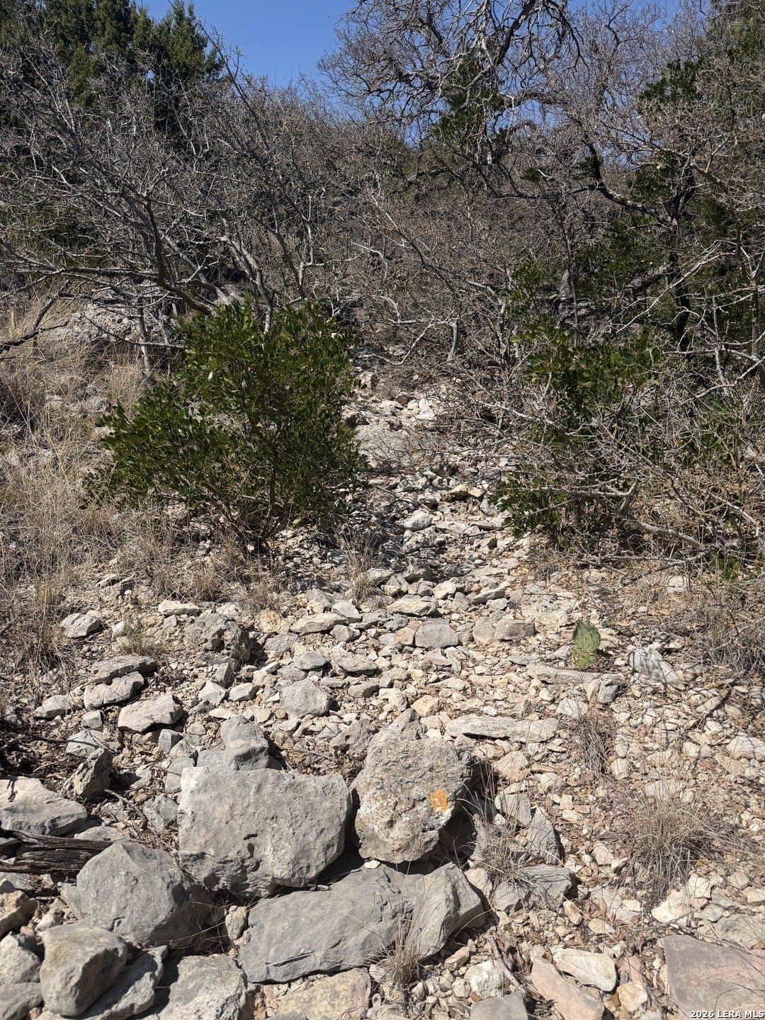23.3 acres in Edwards County - photo 26