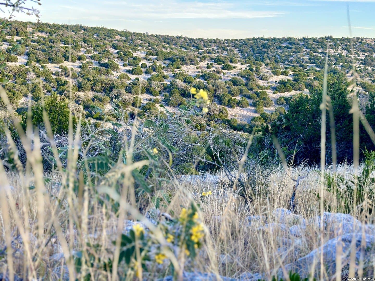 23.3 acres in Edwards County gallery image 2