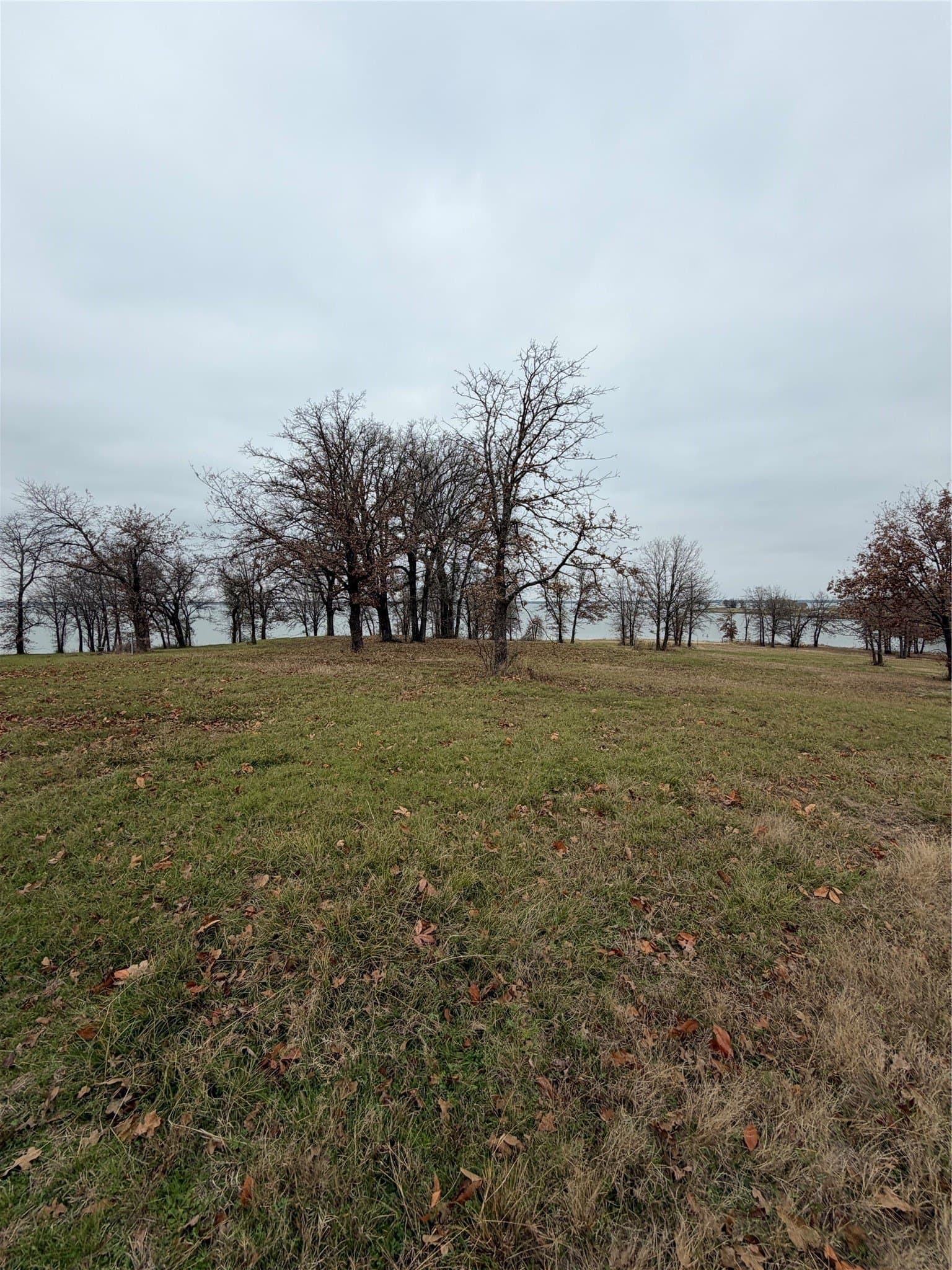 1.02 acres in Navarro County gallery image 2
