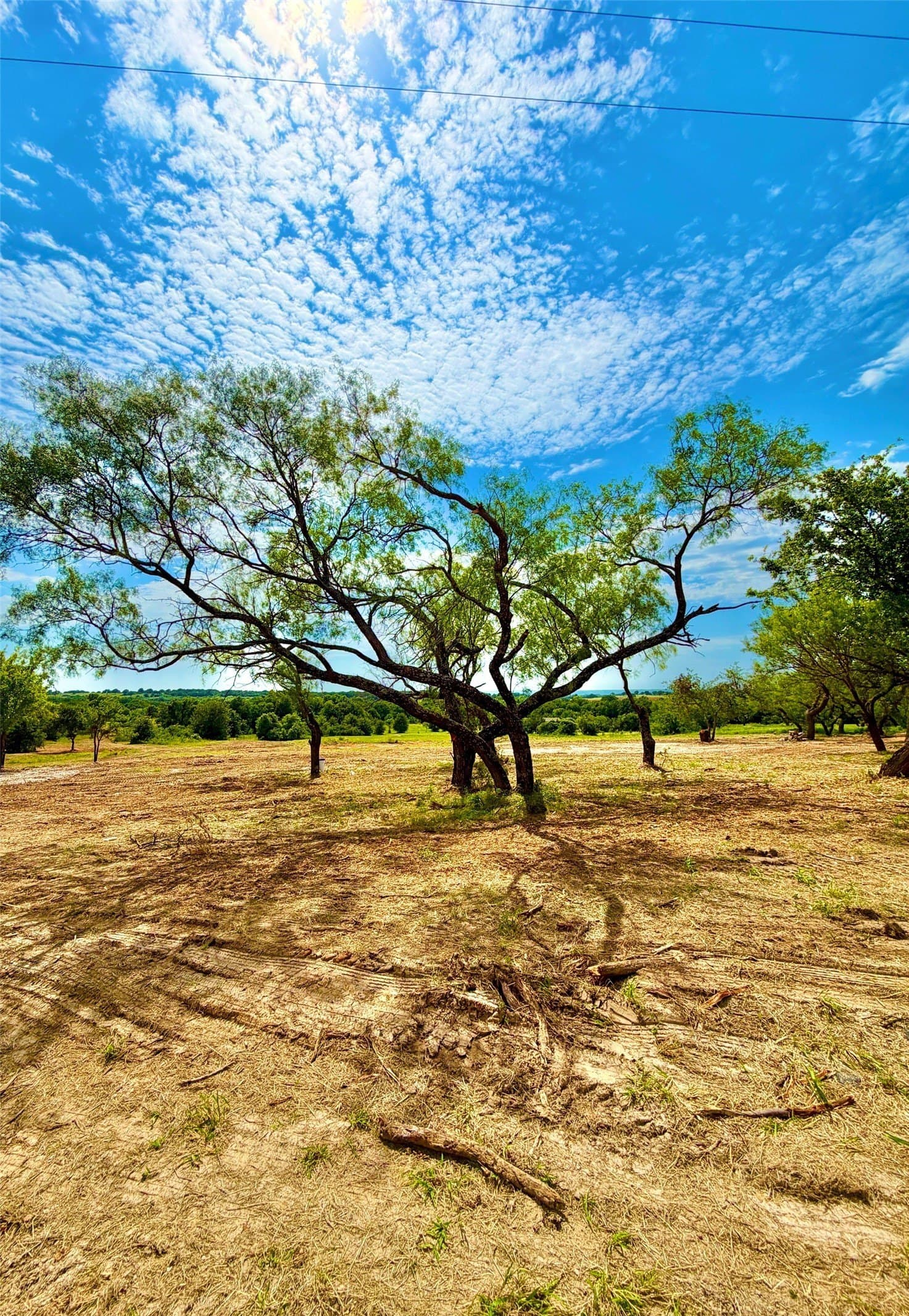 2.54 acres in Parker County - photo 6