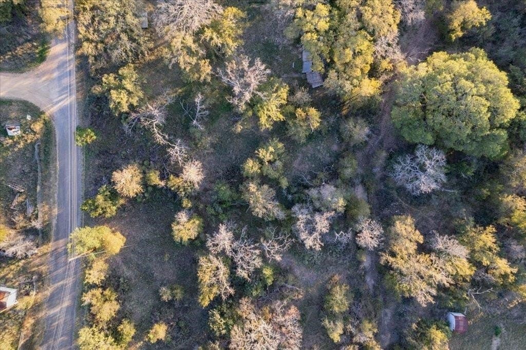 0.34 acres in Burnet County - photo 4