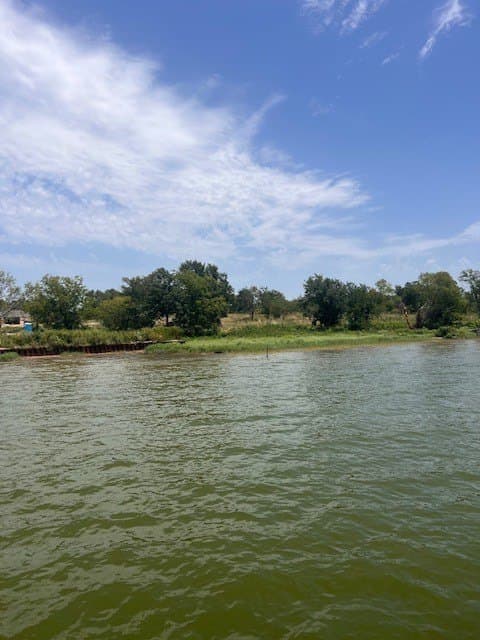 2.5 acres in Navarro County gallery image 3