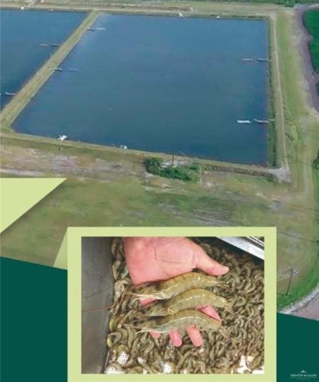 38.79 acres in Willacy County gallery image 2