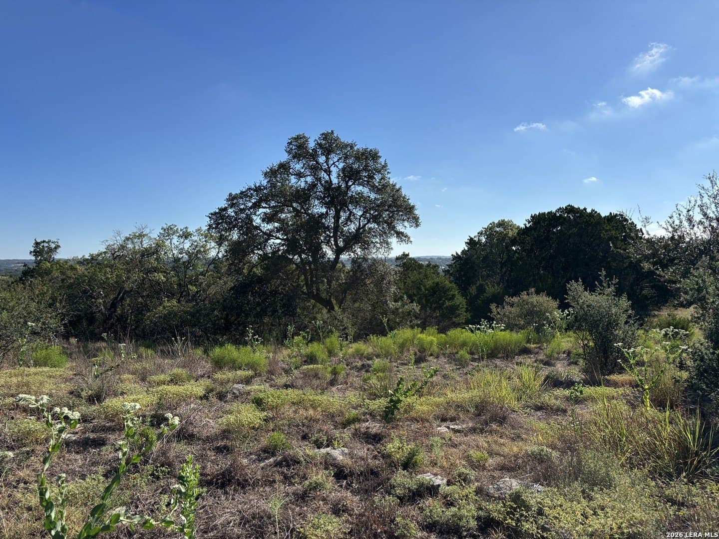 1.86 acres in Comal County - photo 8