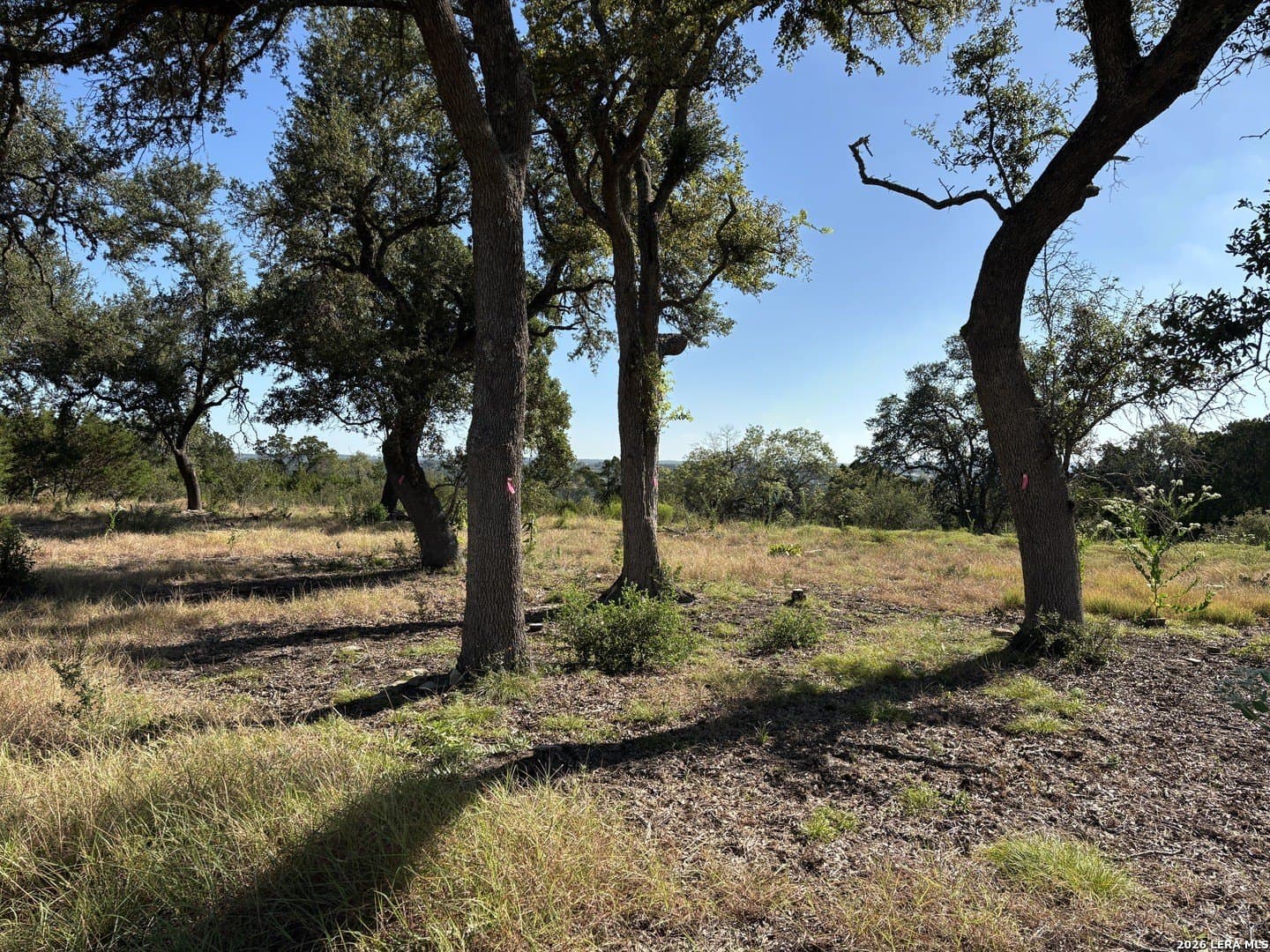 1.86 acres in Comal County - photo 11