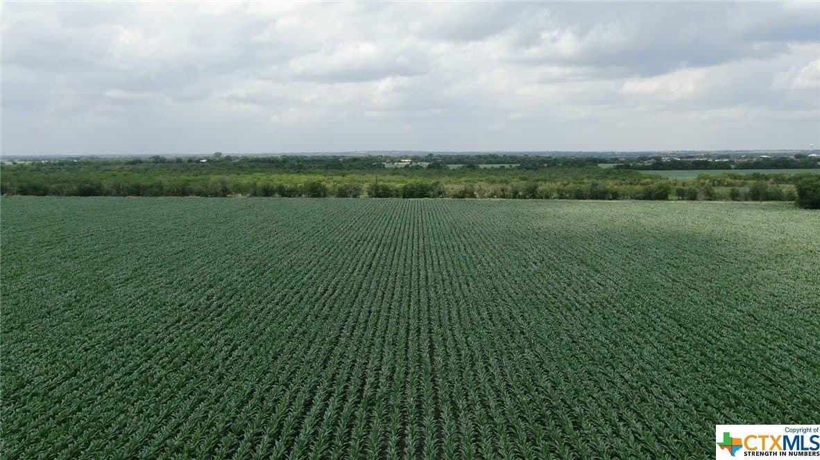 67.5 acres in Guadalupe County - photo 5