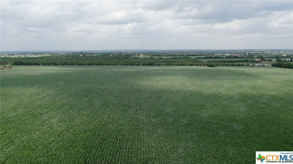 67.5 acres in Guadalupe County - photo 4