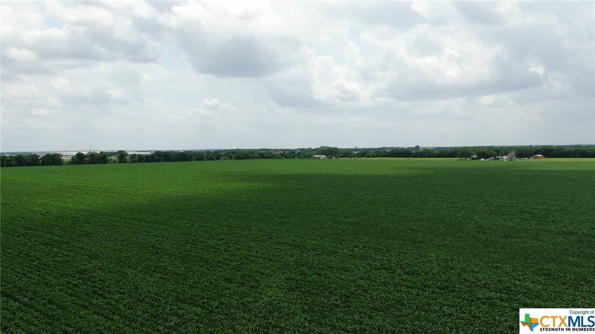 67.5 acres in Guadalupe County - photo 6