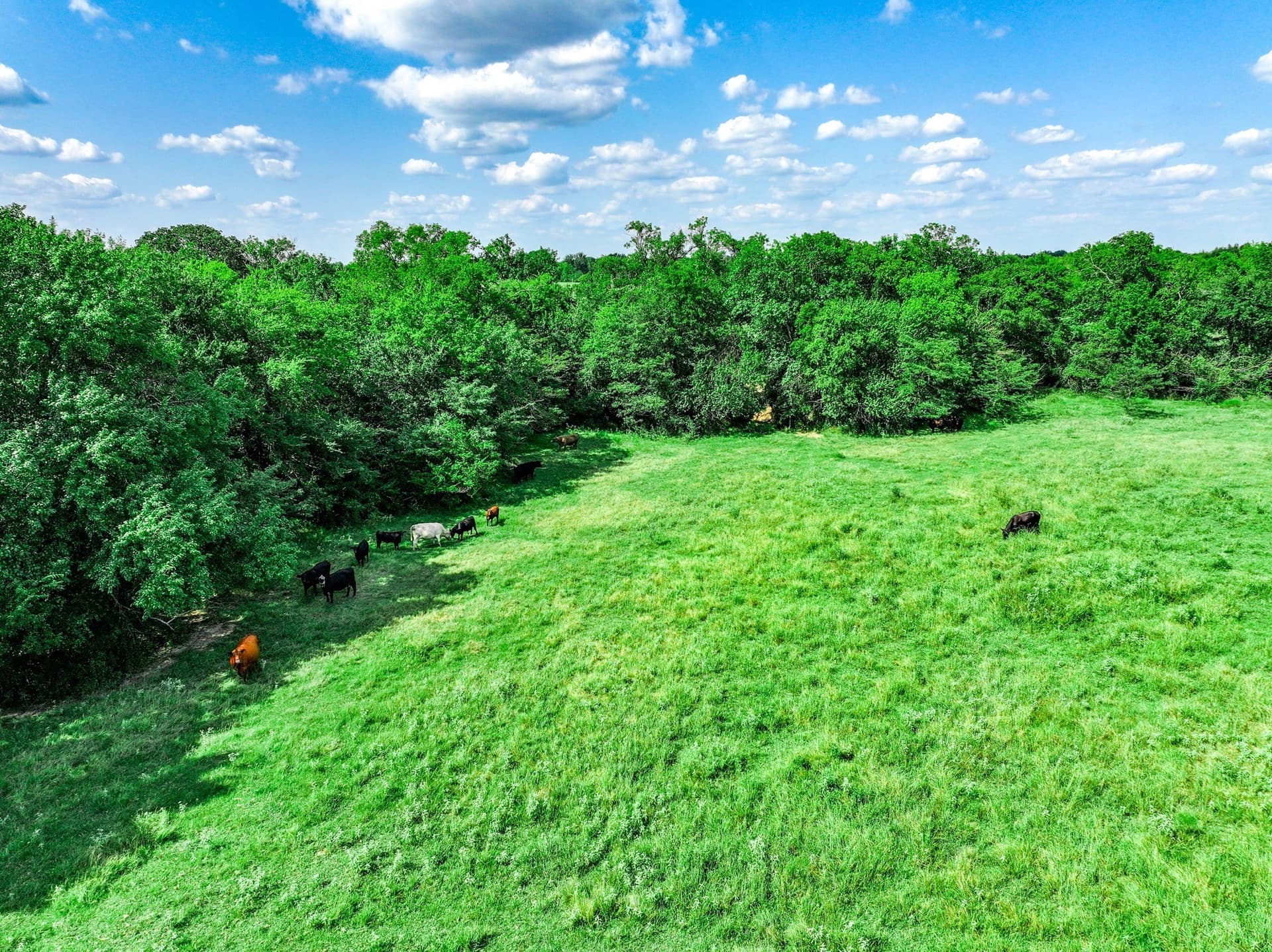 78.16 acres in Hopkins County - photo 9